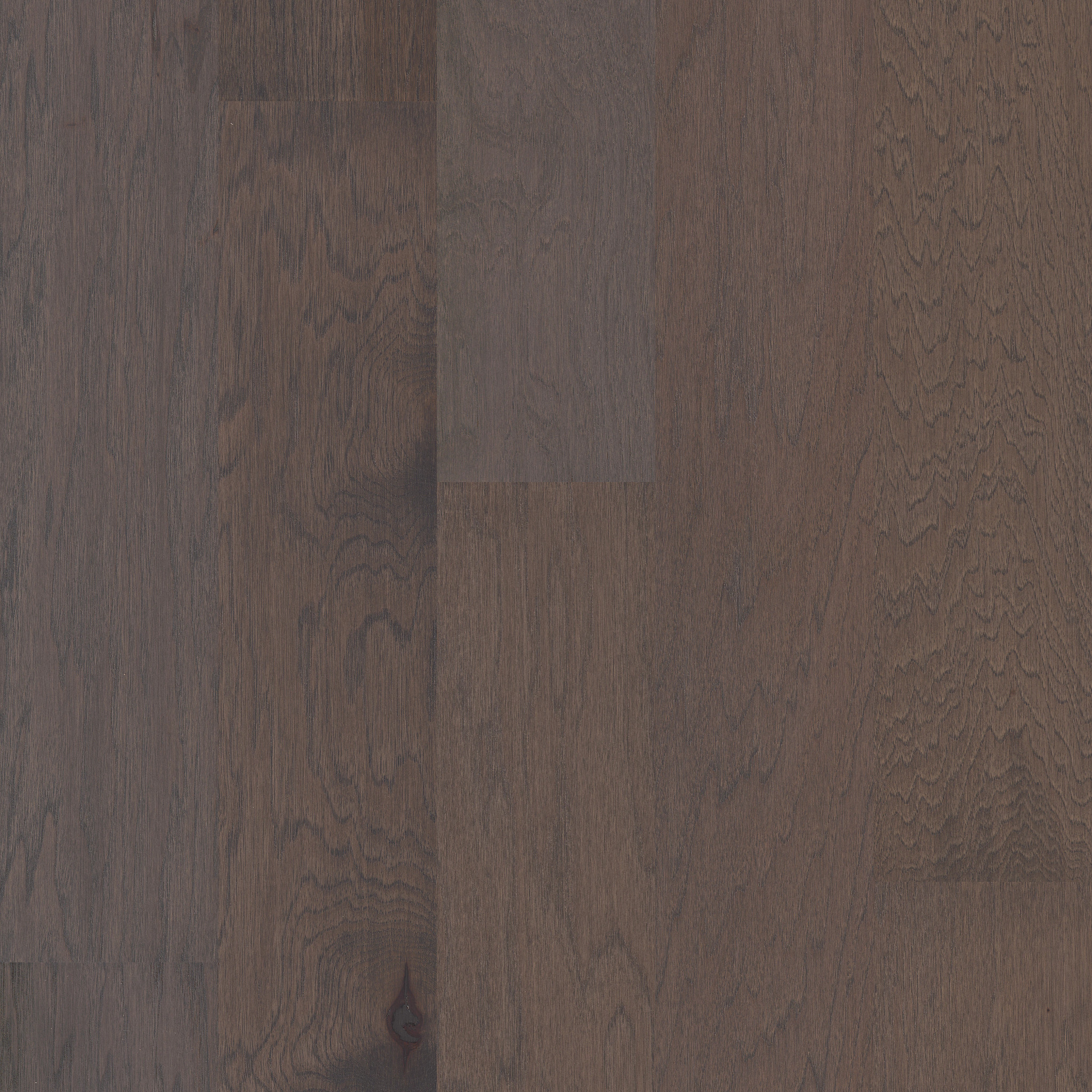 Bd600 - 5081 Hickory - BD600_05081