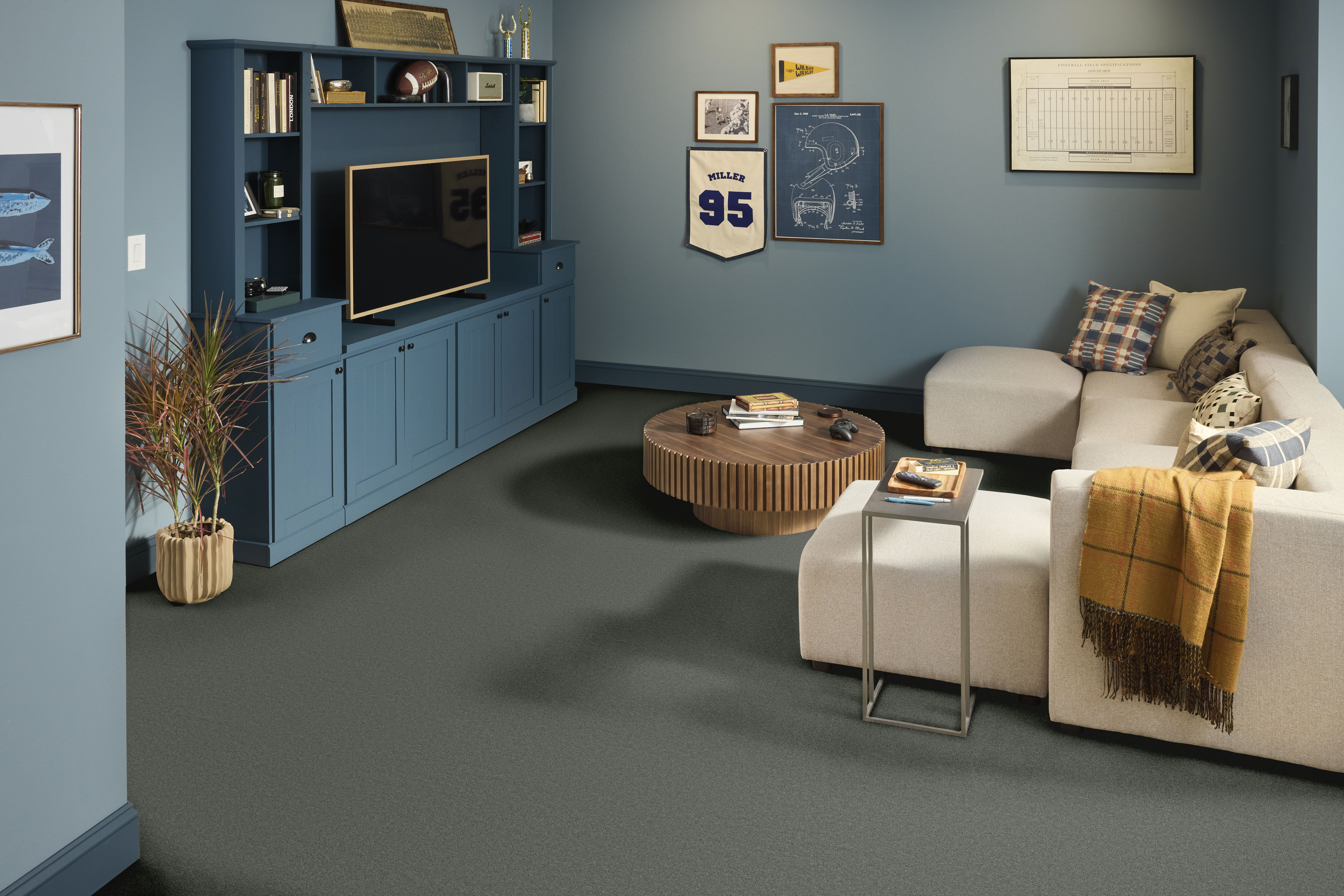 MY CHOICE I SILVER SAGE ROOM