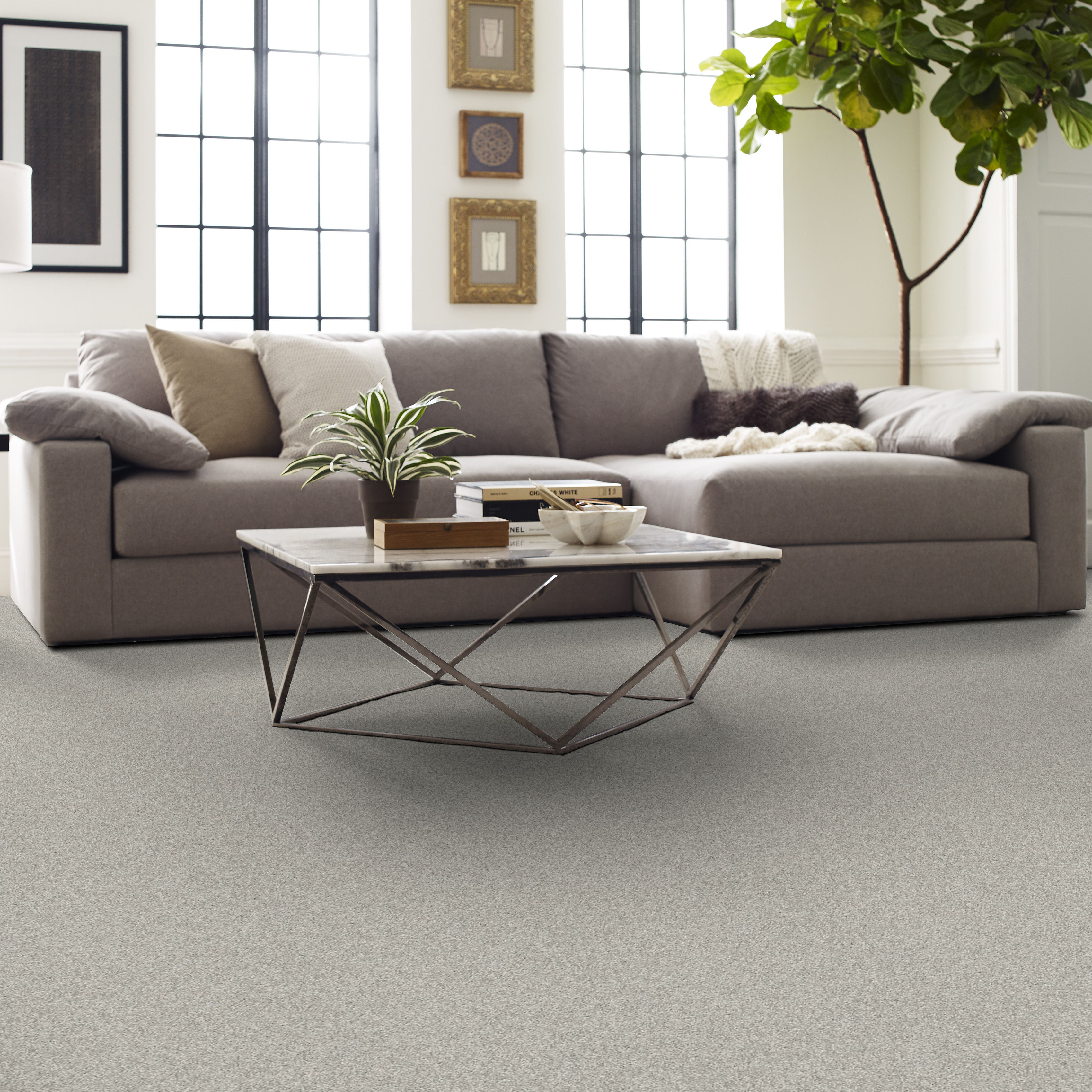 MY CHOICE II ASH ROOM