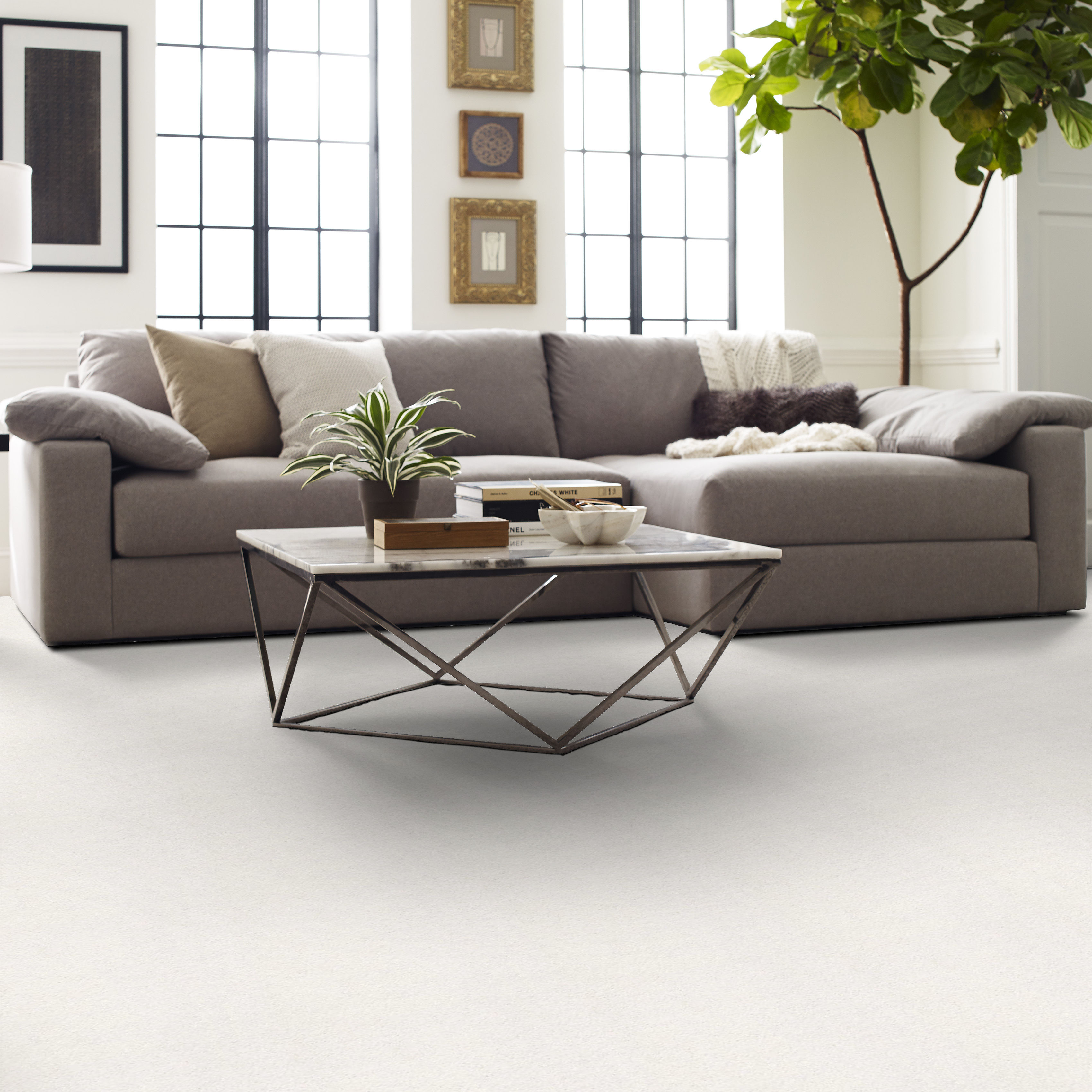 BASIC RULES SUPER FINE ROOM