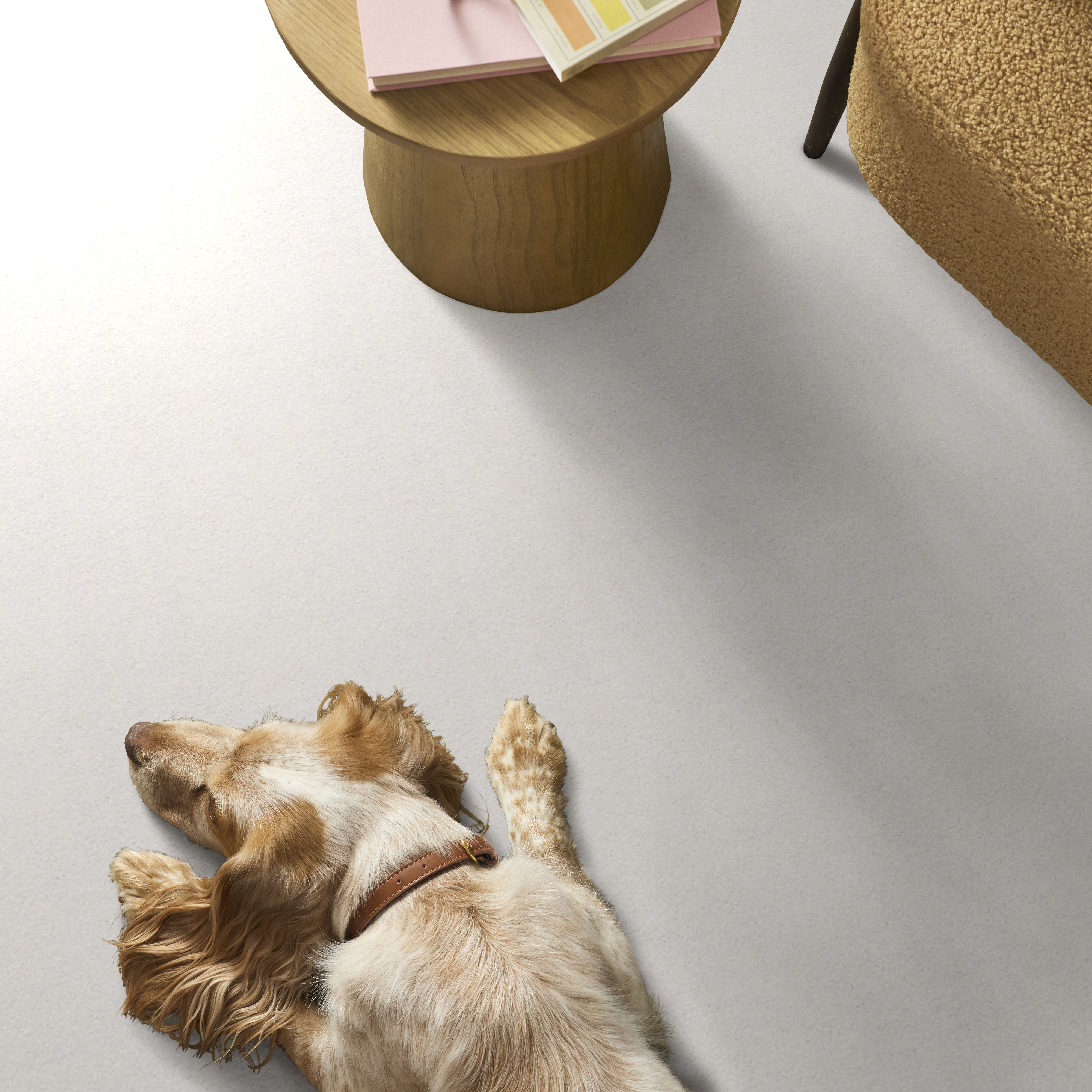 BASIC RULES SUPER FINE ROOM