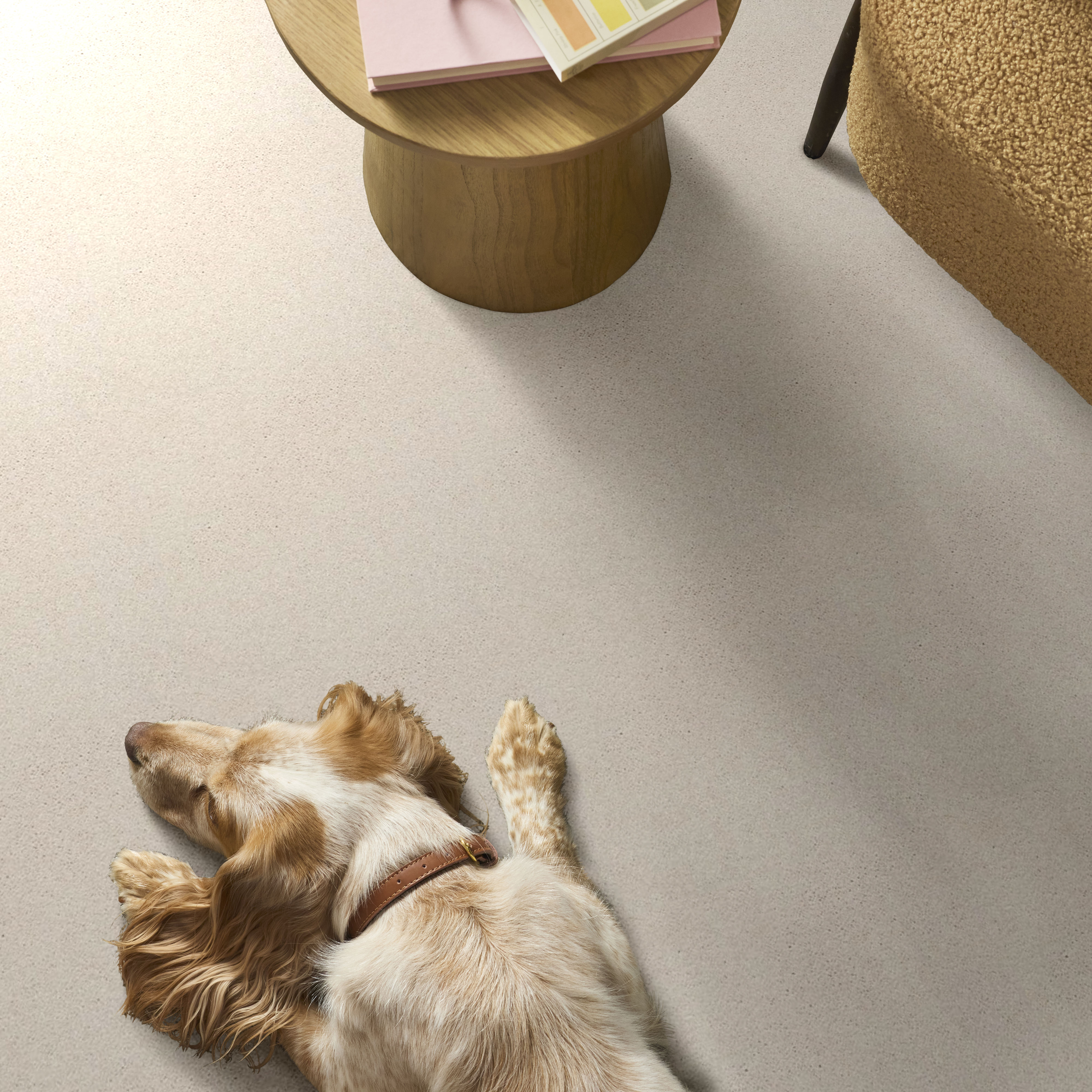 BASIC RULES SNOWFALL ROOM