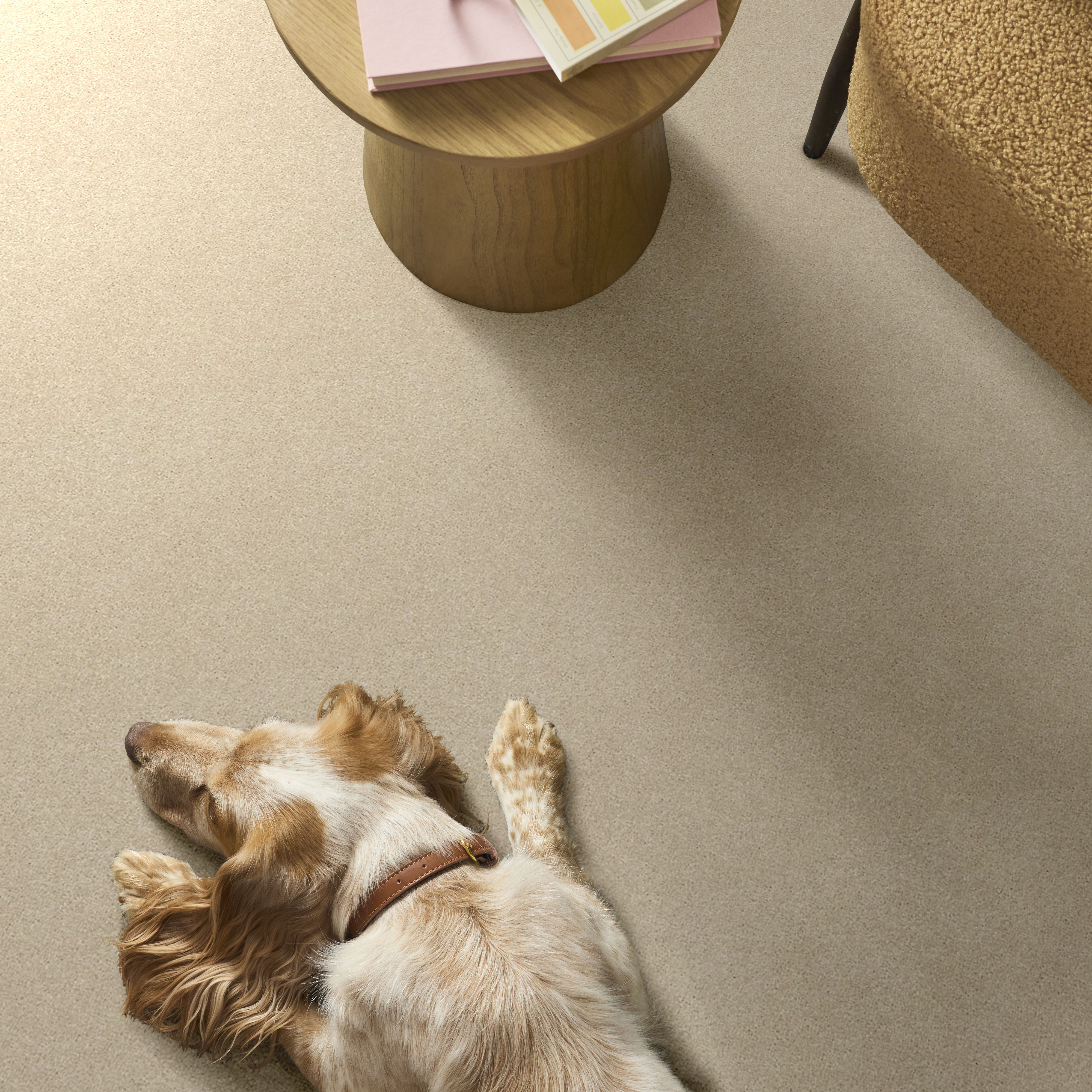 BASIC RULES EGGSHELL ROOM