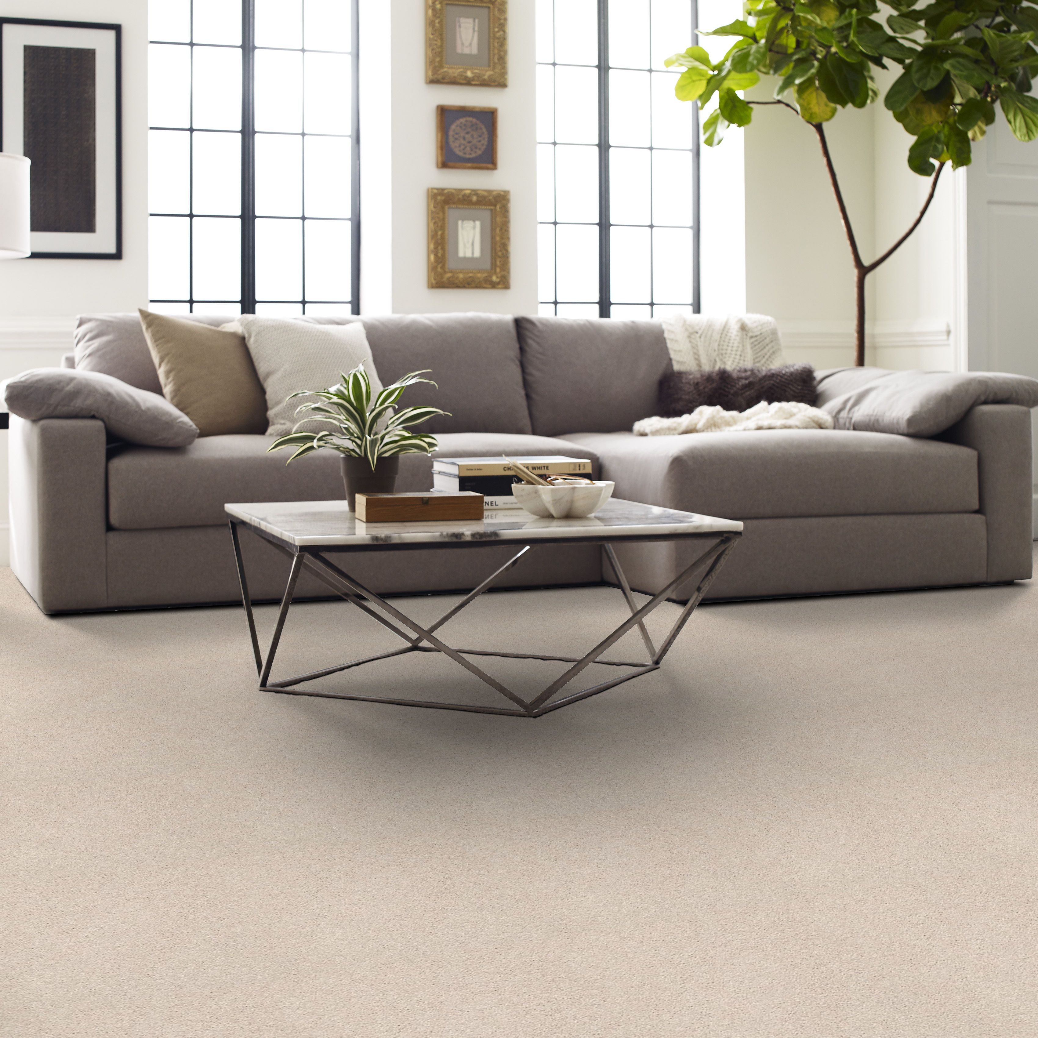 BASIC RULES BLUSH ROOM