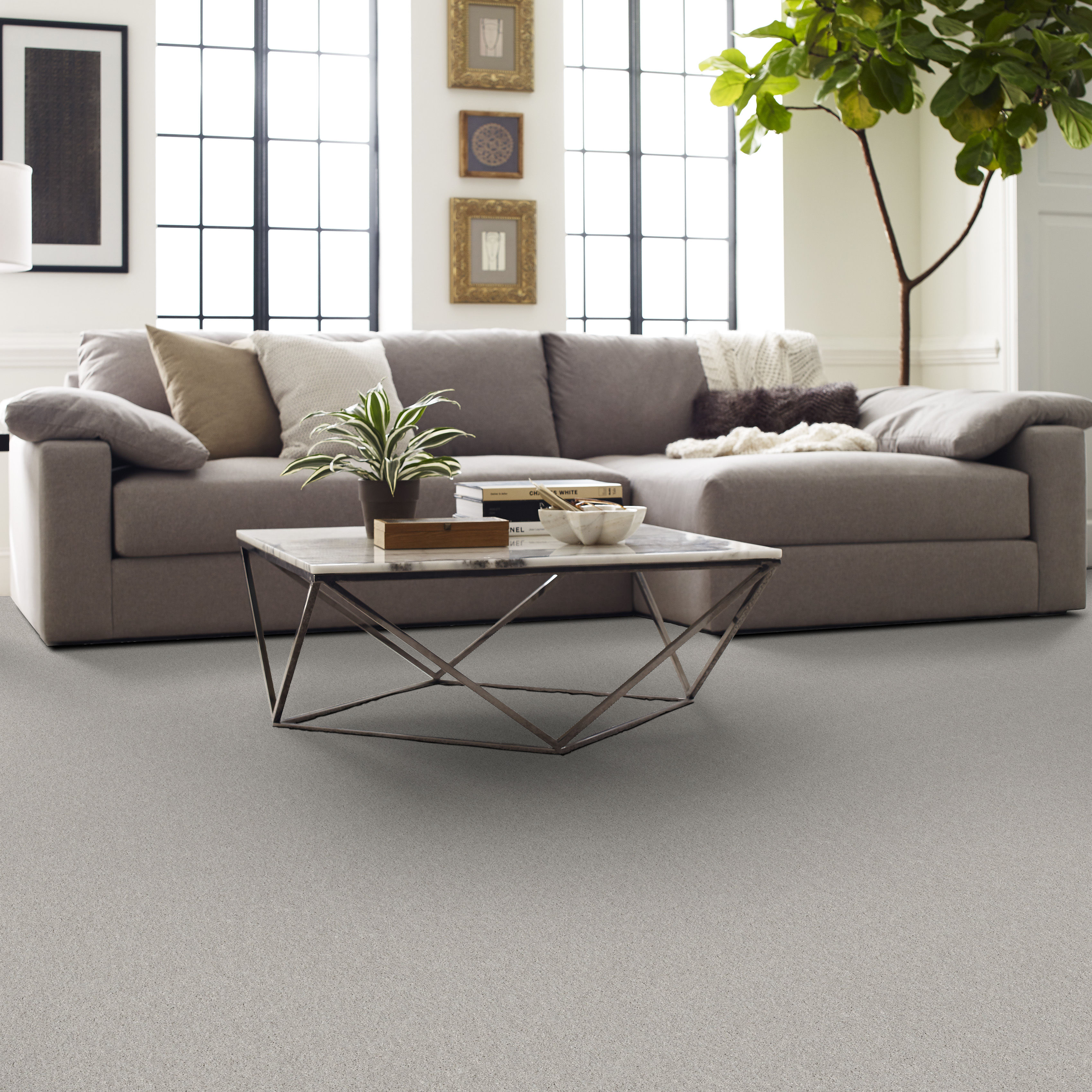 BASIC RULES DEW ROOM