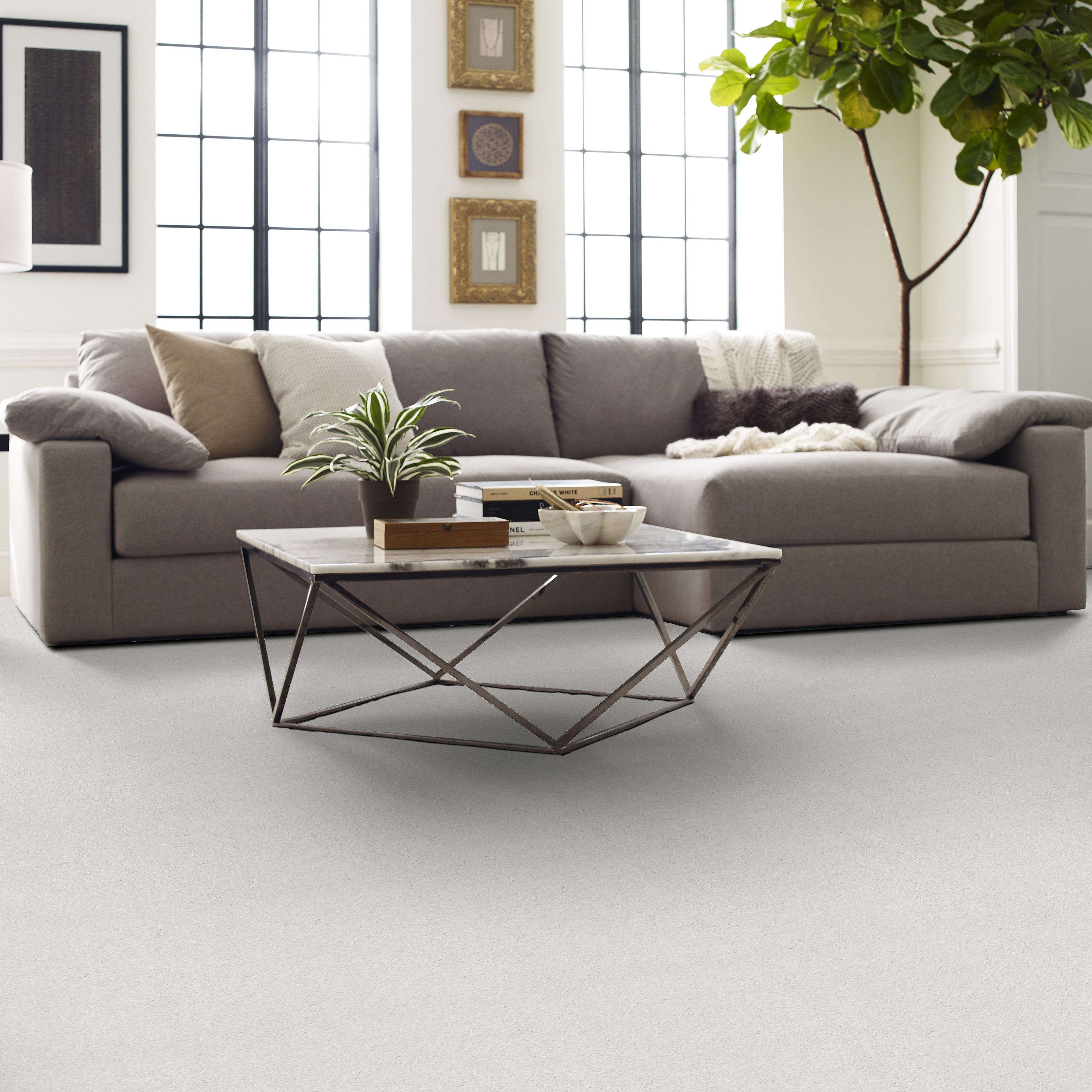 BASIC RULES MIST ROOM