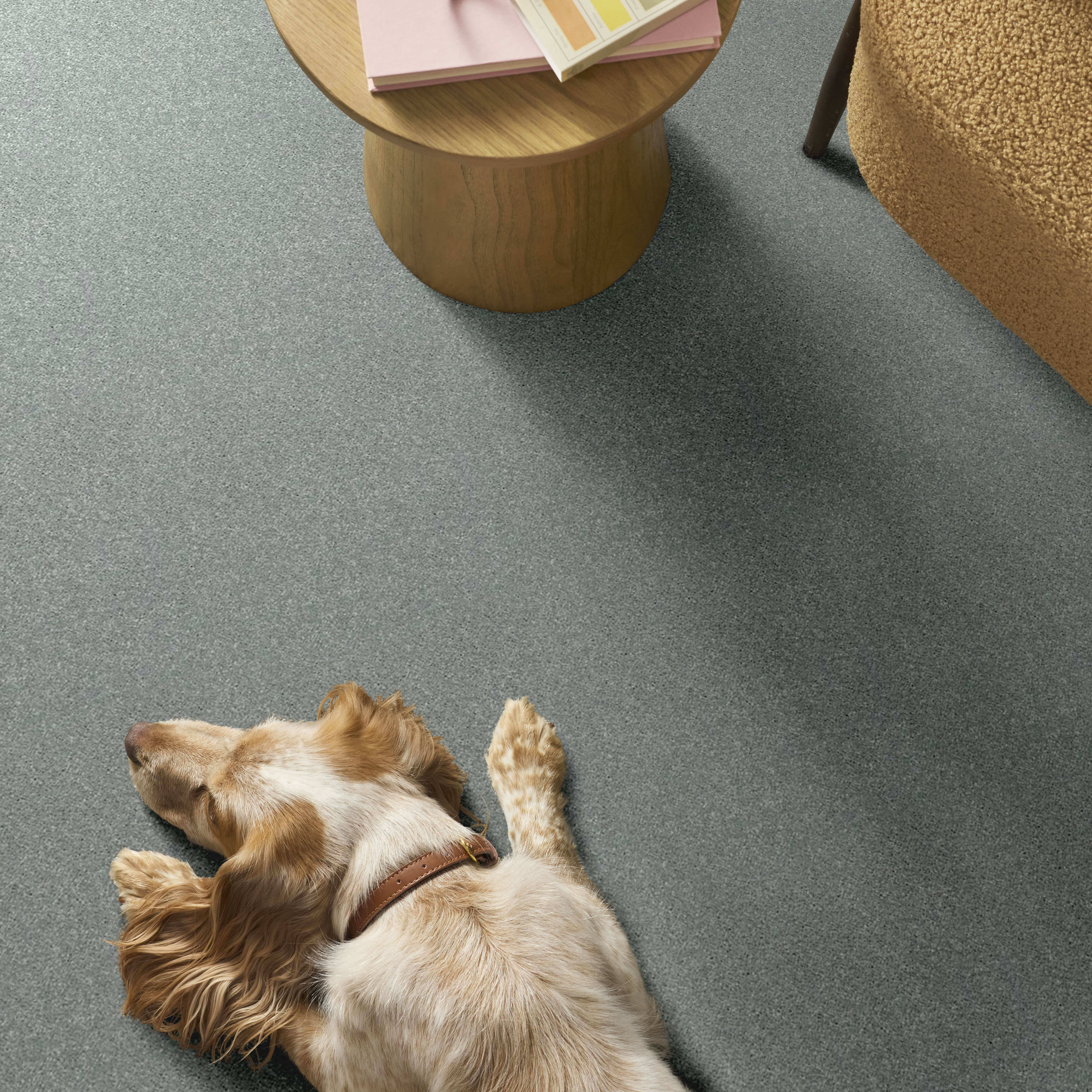 BASIC RULES AQUAMARINE ROOM