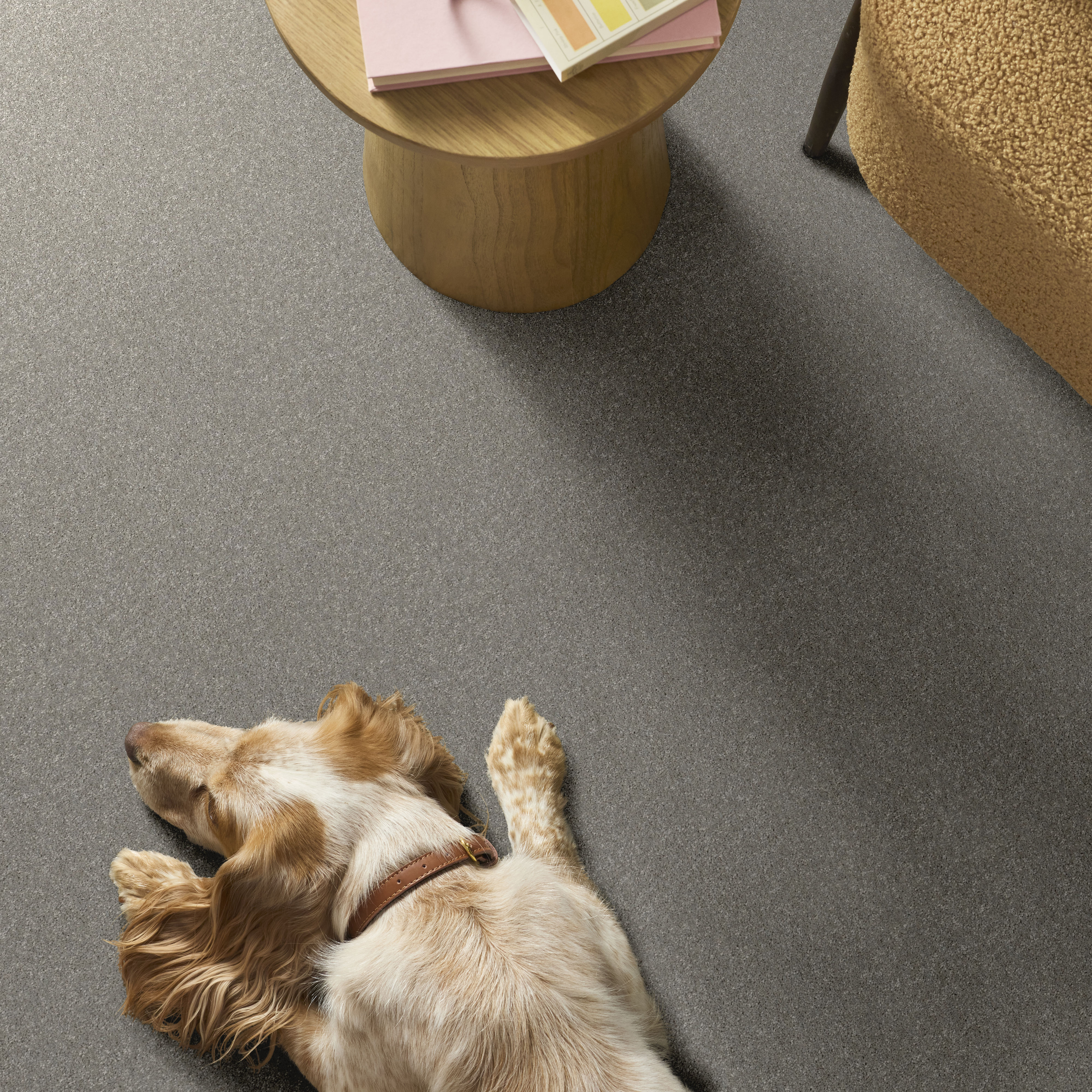 BASIC RULES PLATINUM ROOM