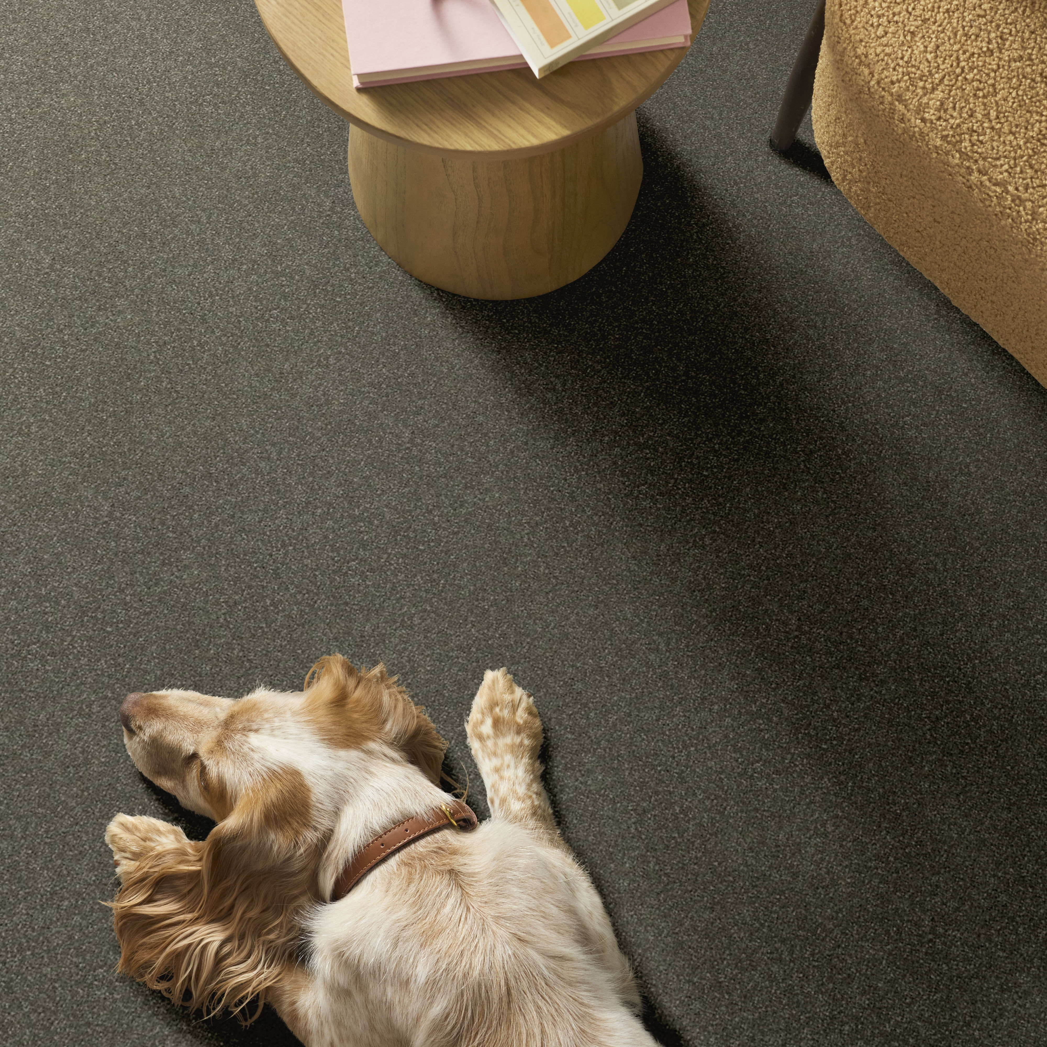 BASIC RULES PORTOBELLO ROOM