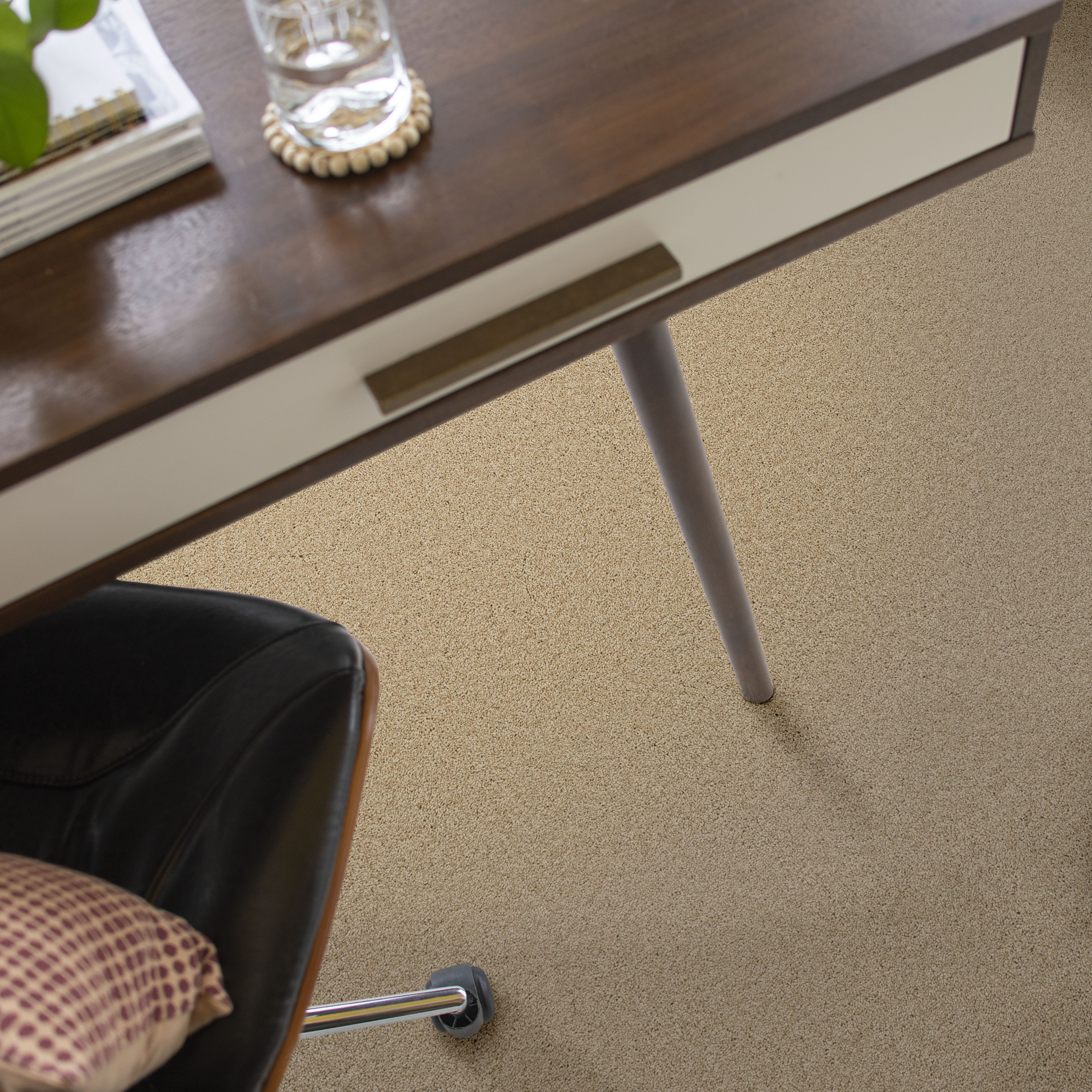 KEEN SENSES II SHORELINE ROOM