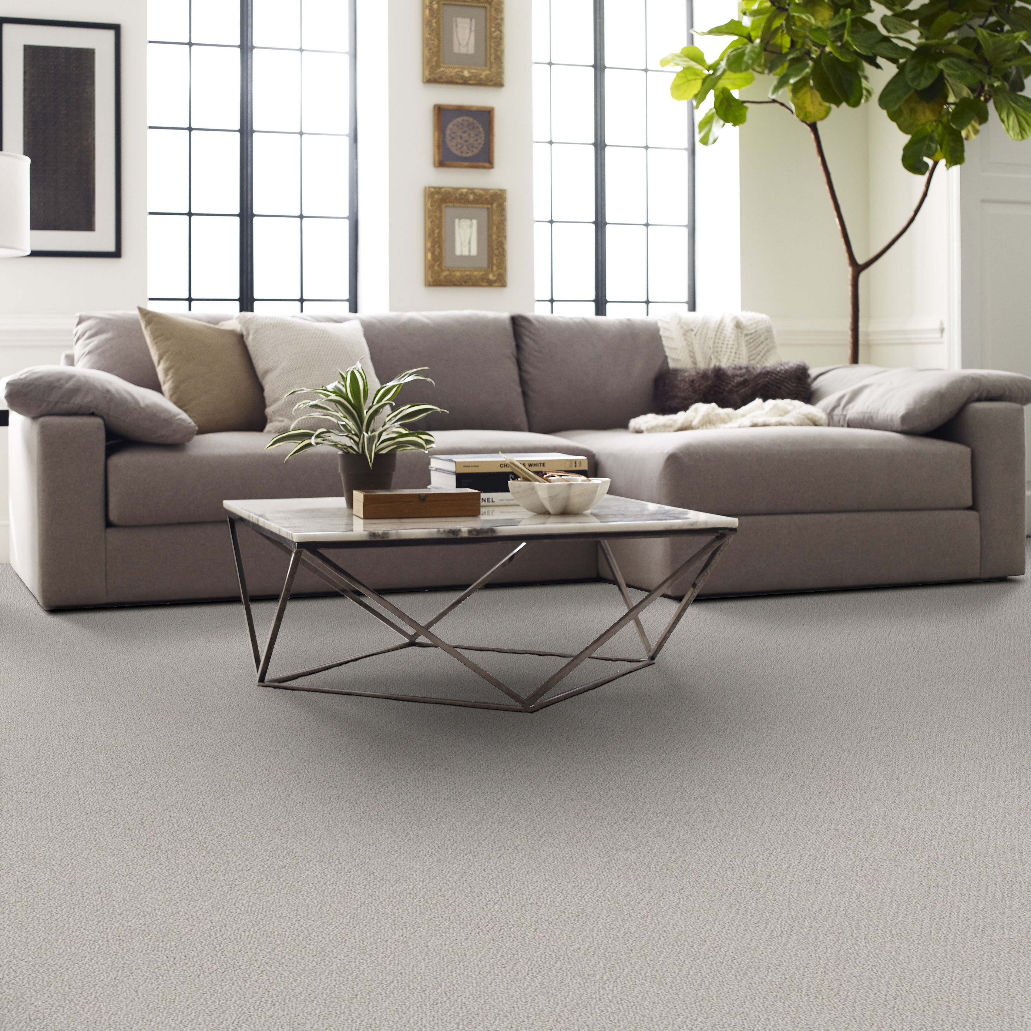 SMART THINKING LADY IN GRAY ROOM