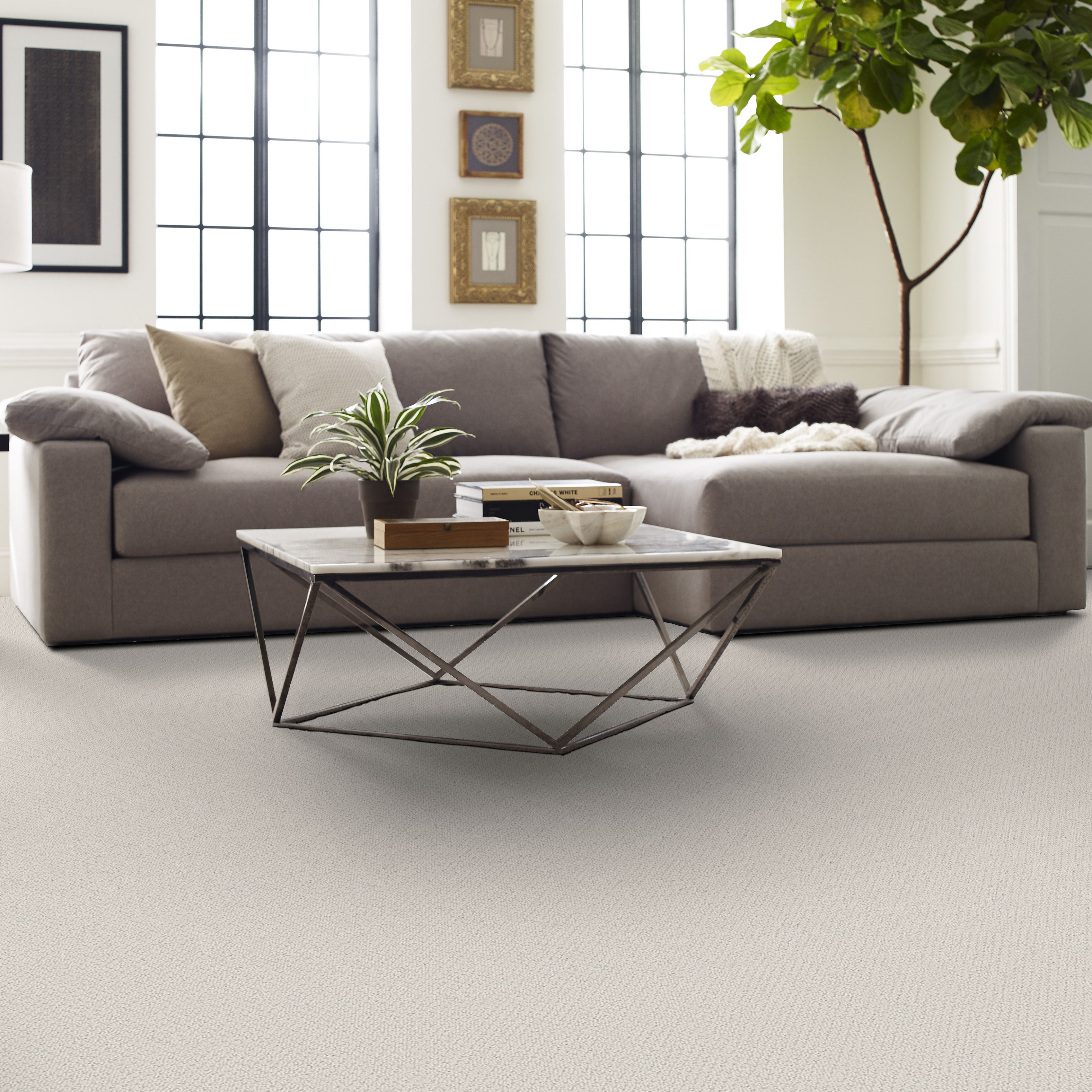 SMART THINKING MORNING MIST ROOM