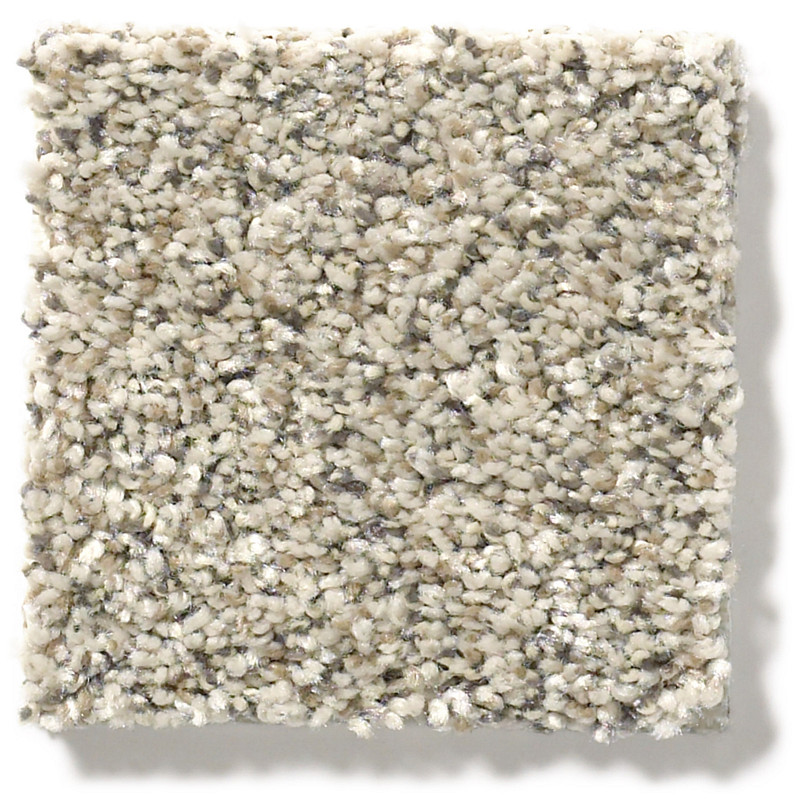 ALL SET I in River Rock by Shaw Floors