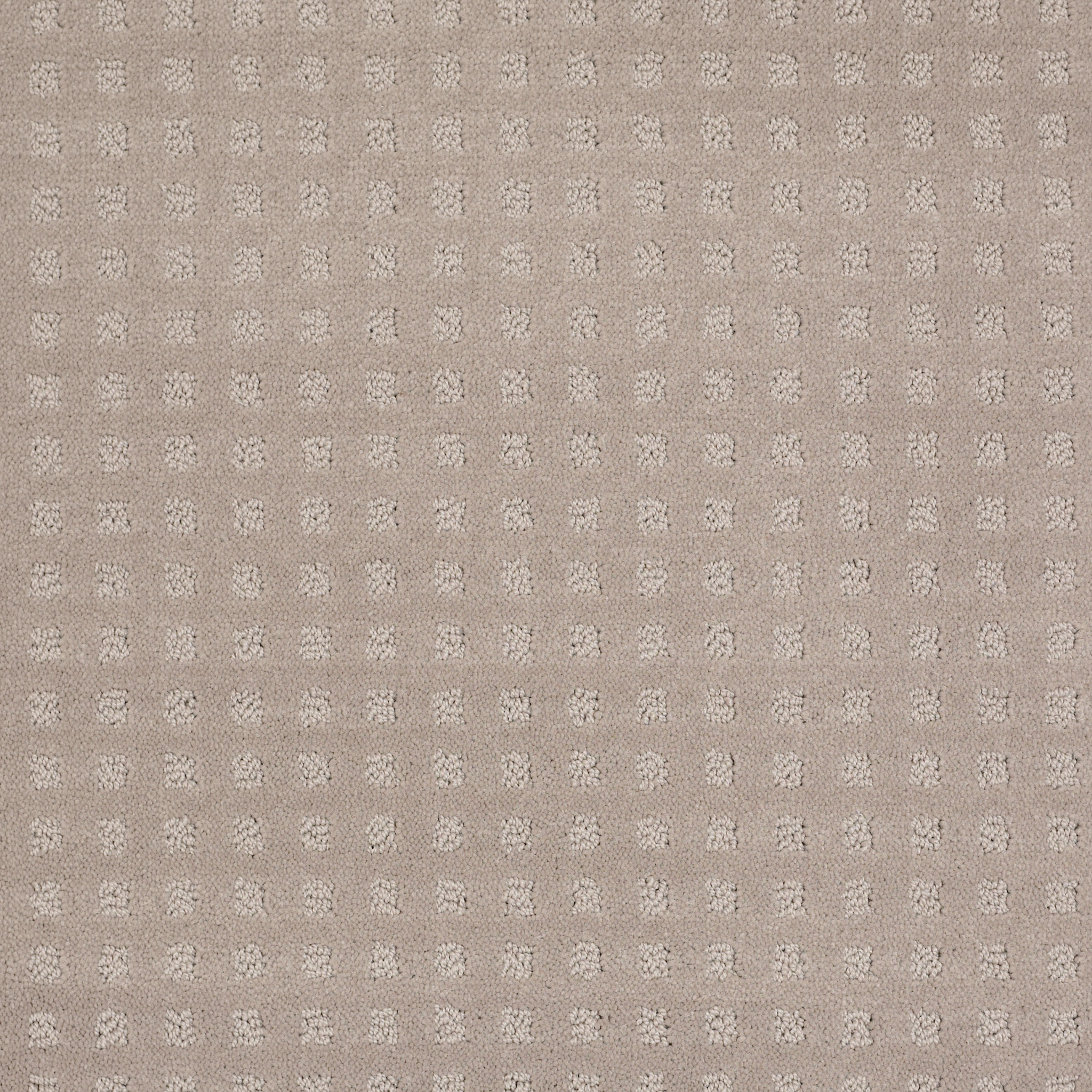The Fair - Grey Dove Carpet | Shaw Floors