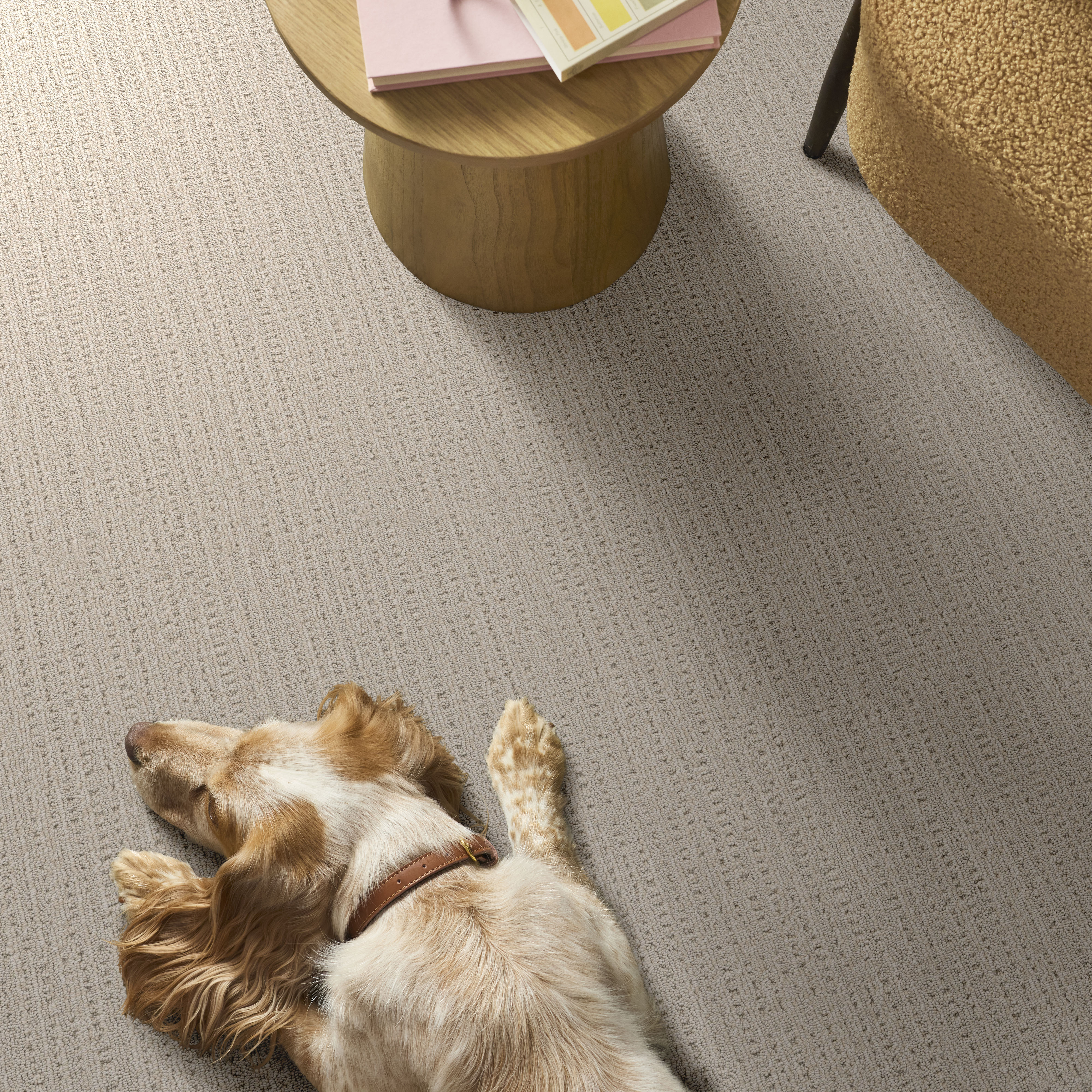 SWEET MEMORIES WOOL BLANKET ROOM