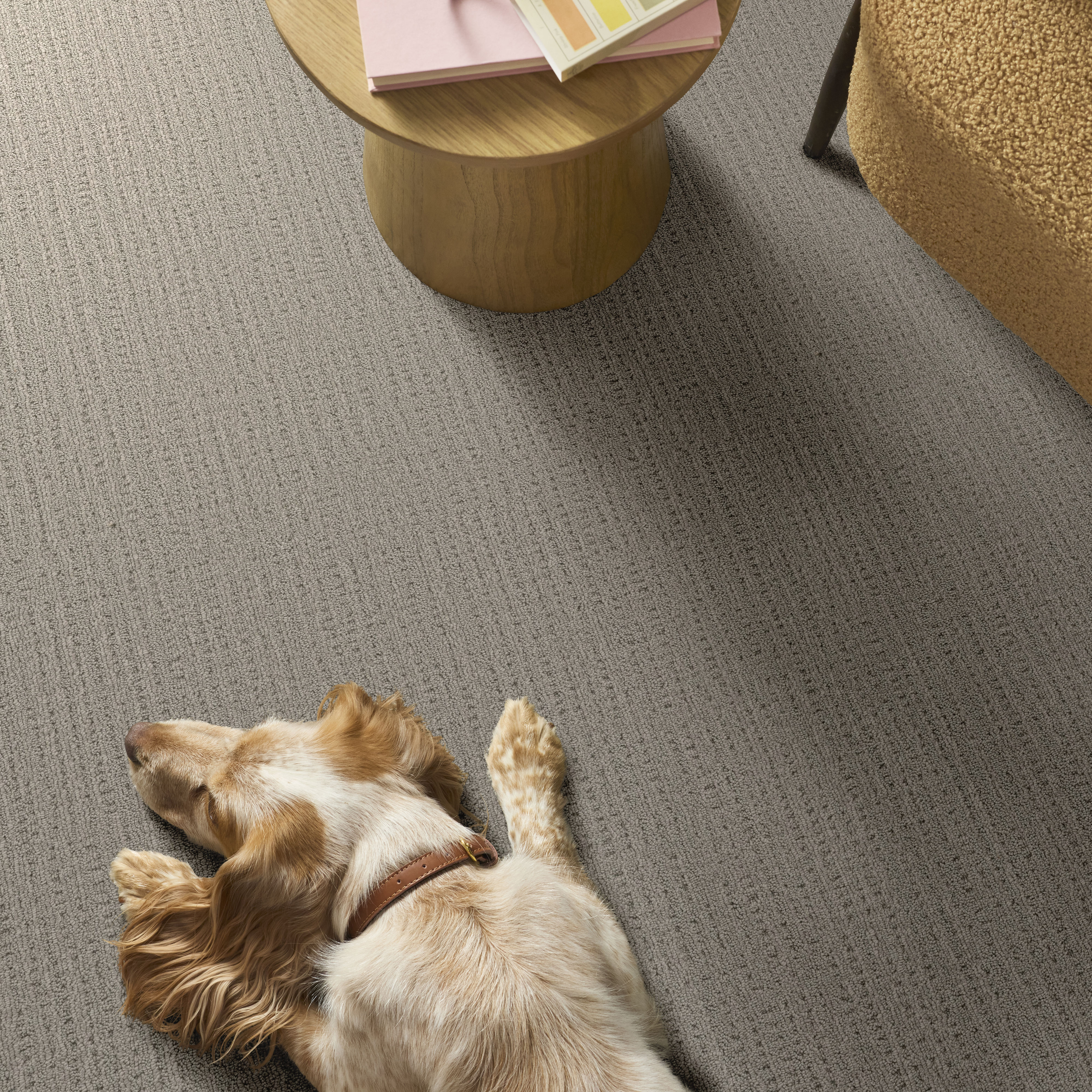 SWEET MEMORIES WARM TAUPE ROOM