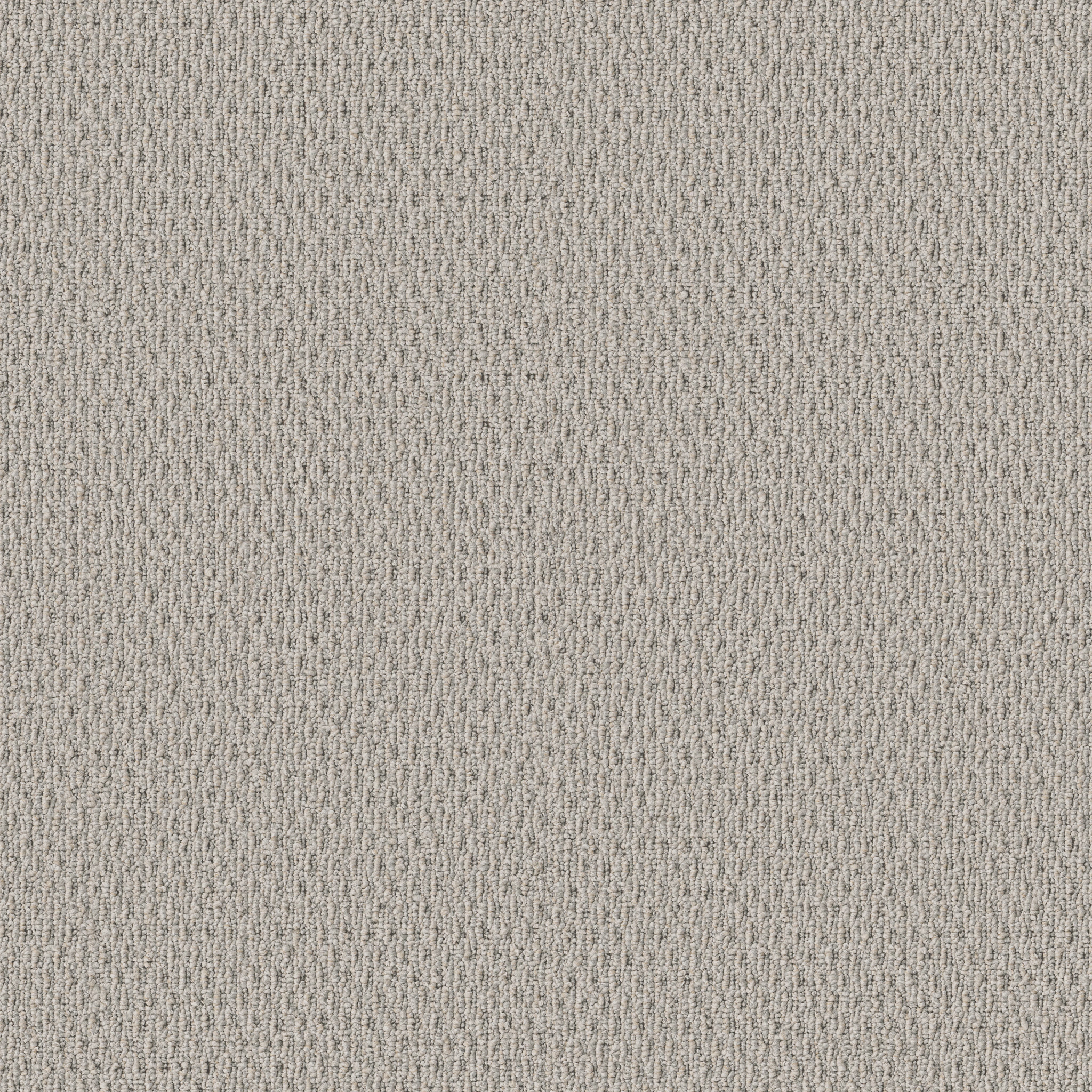 Sand Fossil
