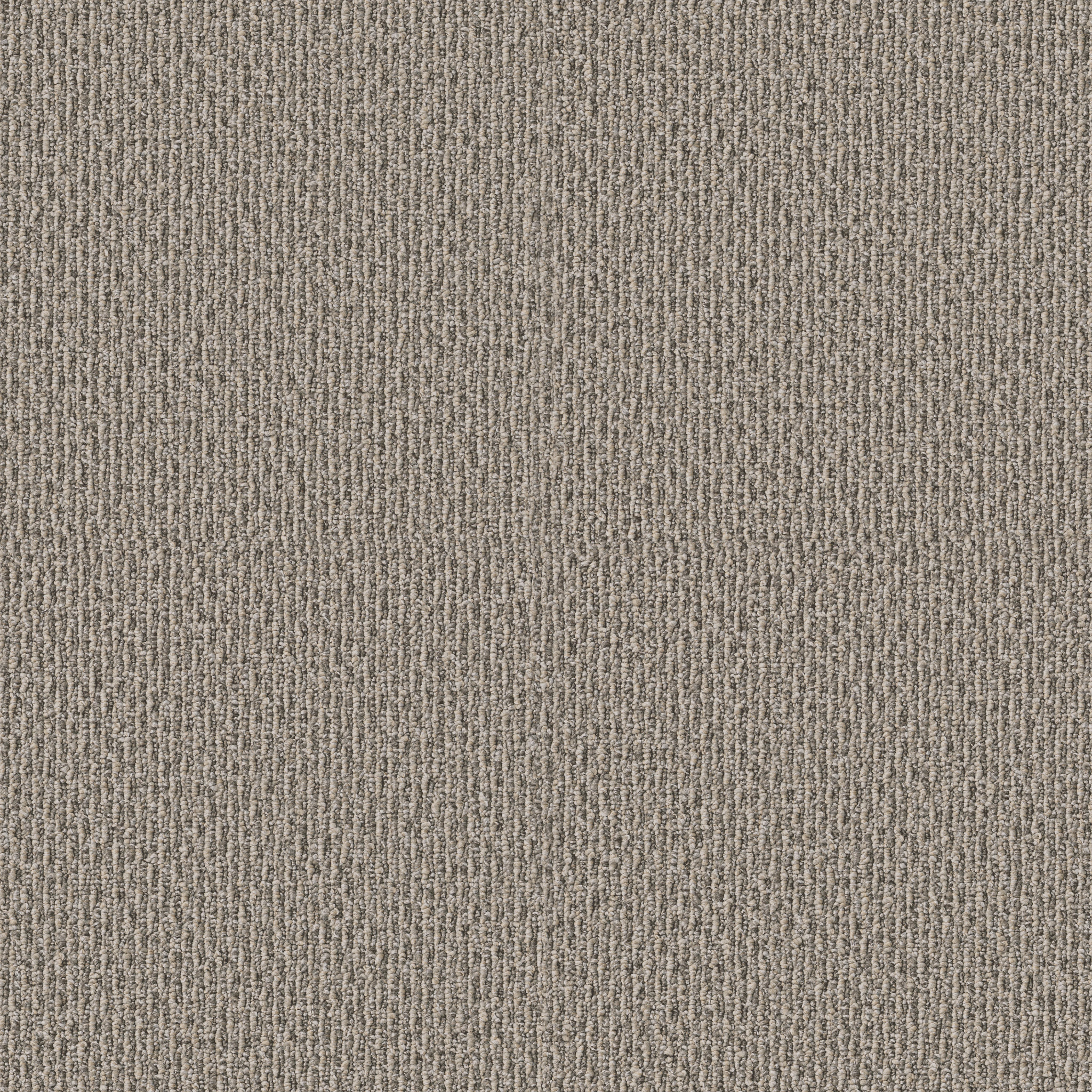 Weathered Wood