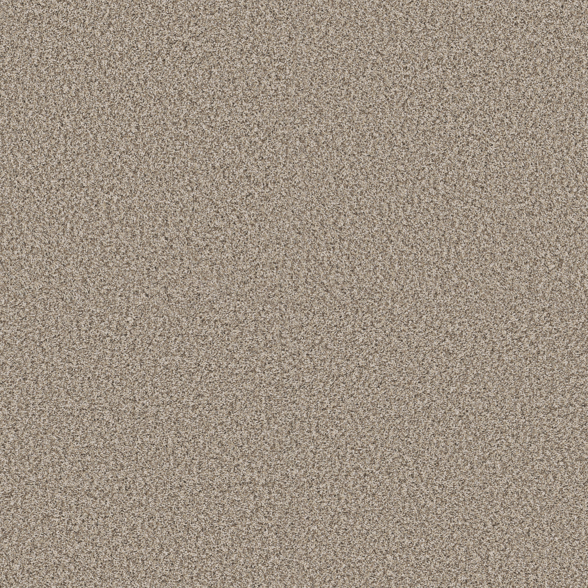 Blue Cove I - Sandstone - HFN32_00119