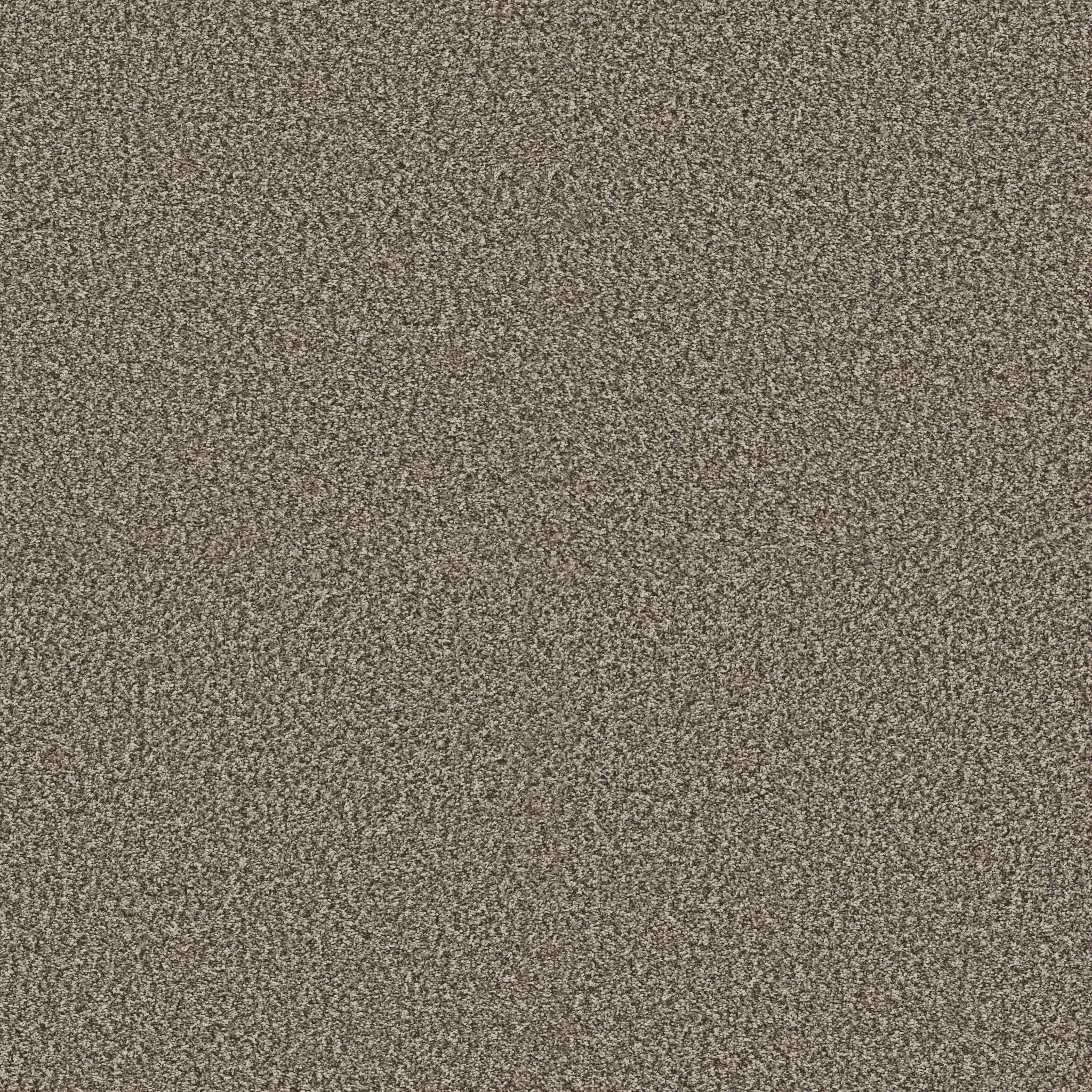 Blue Cove I-Countryside-HFN32_00122