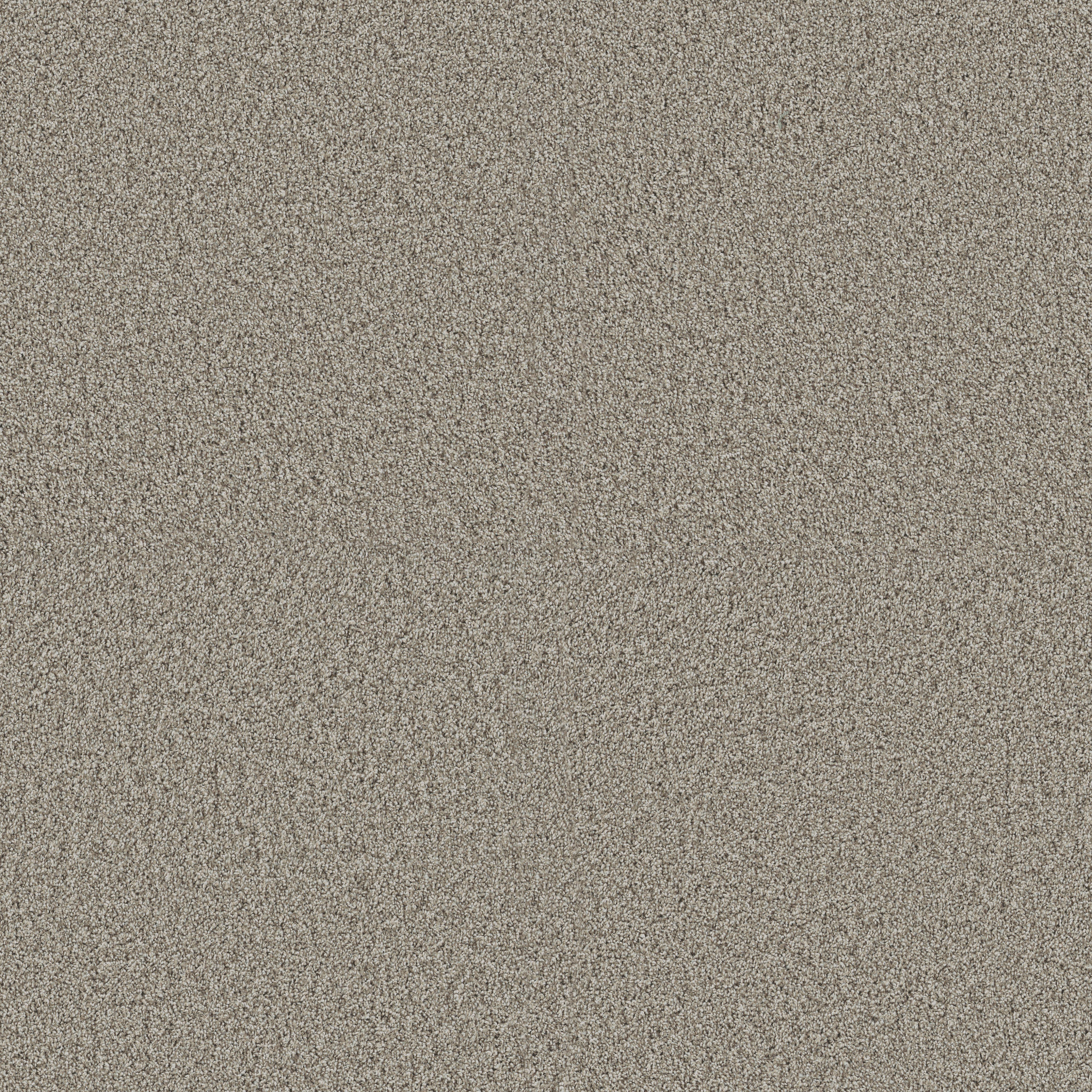 Blue Cove I-Landscape-HFN32_00125