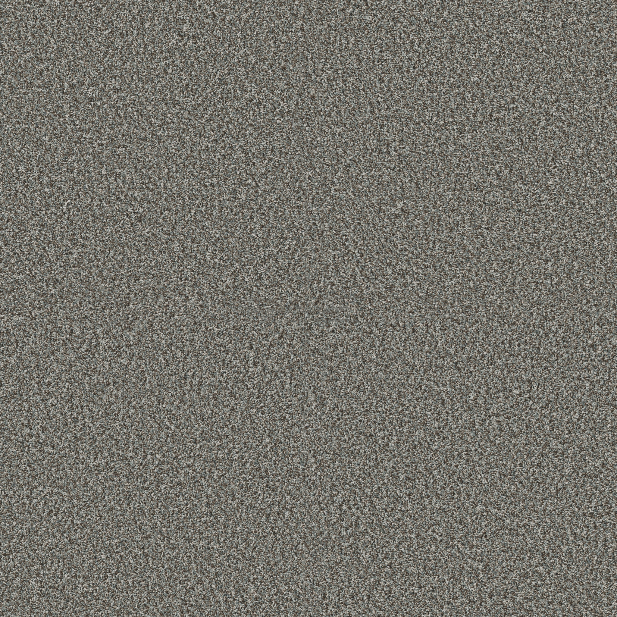 Blue Cove I-Paris Sky-HFN32_00413