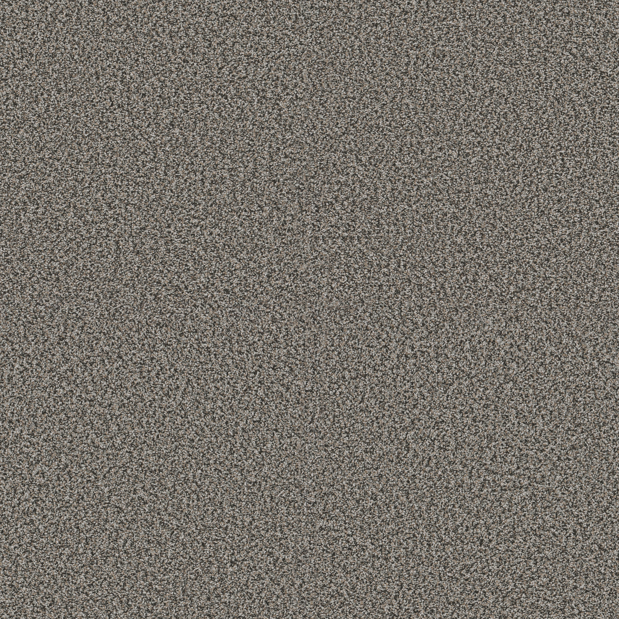 Blue Cove I-Shadow-HFN32_00504