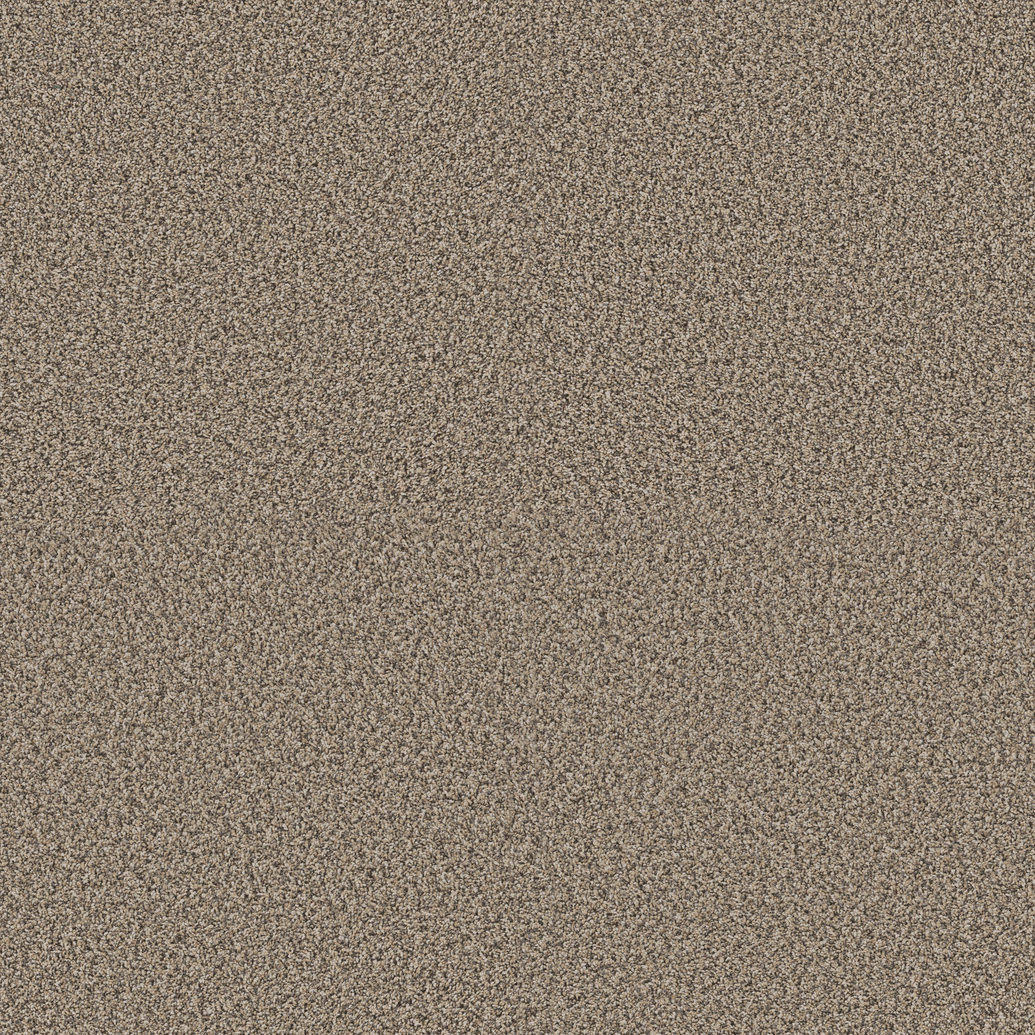 Blue Cove I-Khaki-HFN32_00700