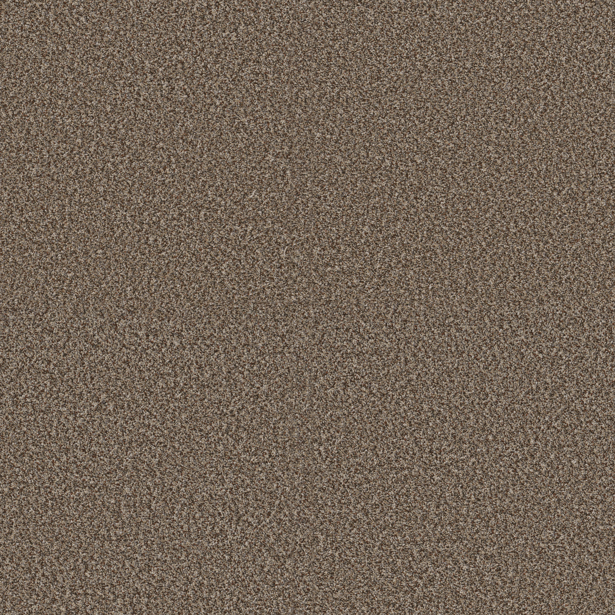 Blue Cove II - Freckles - HFN33_00109