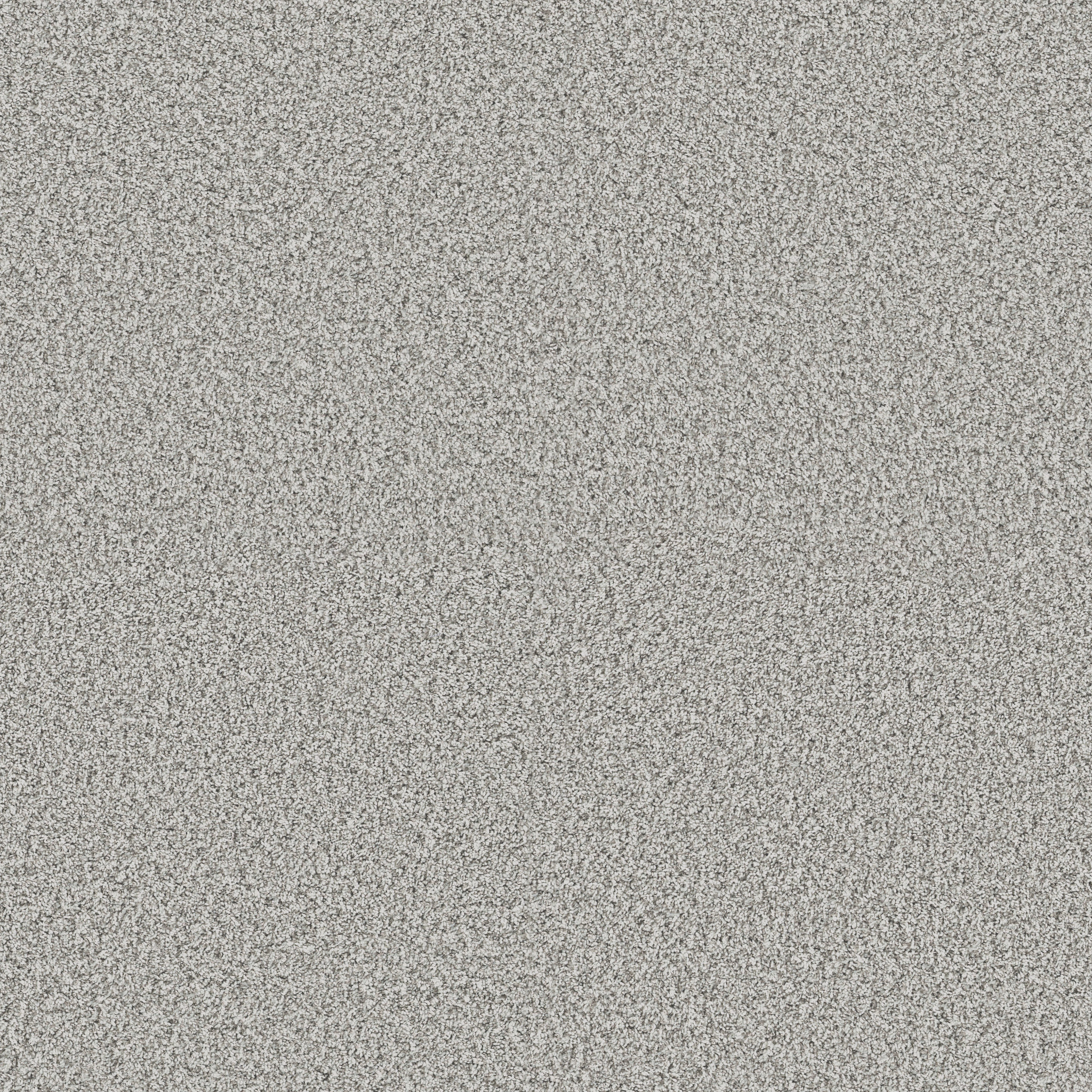 Blue Cove II-Snowbound-HFN33_00117