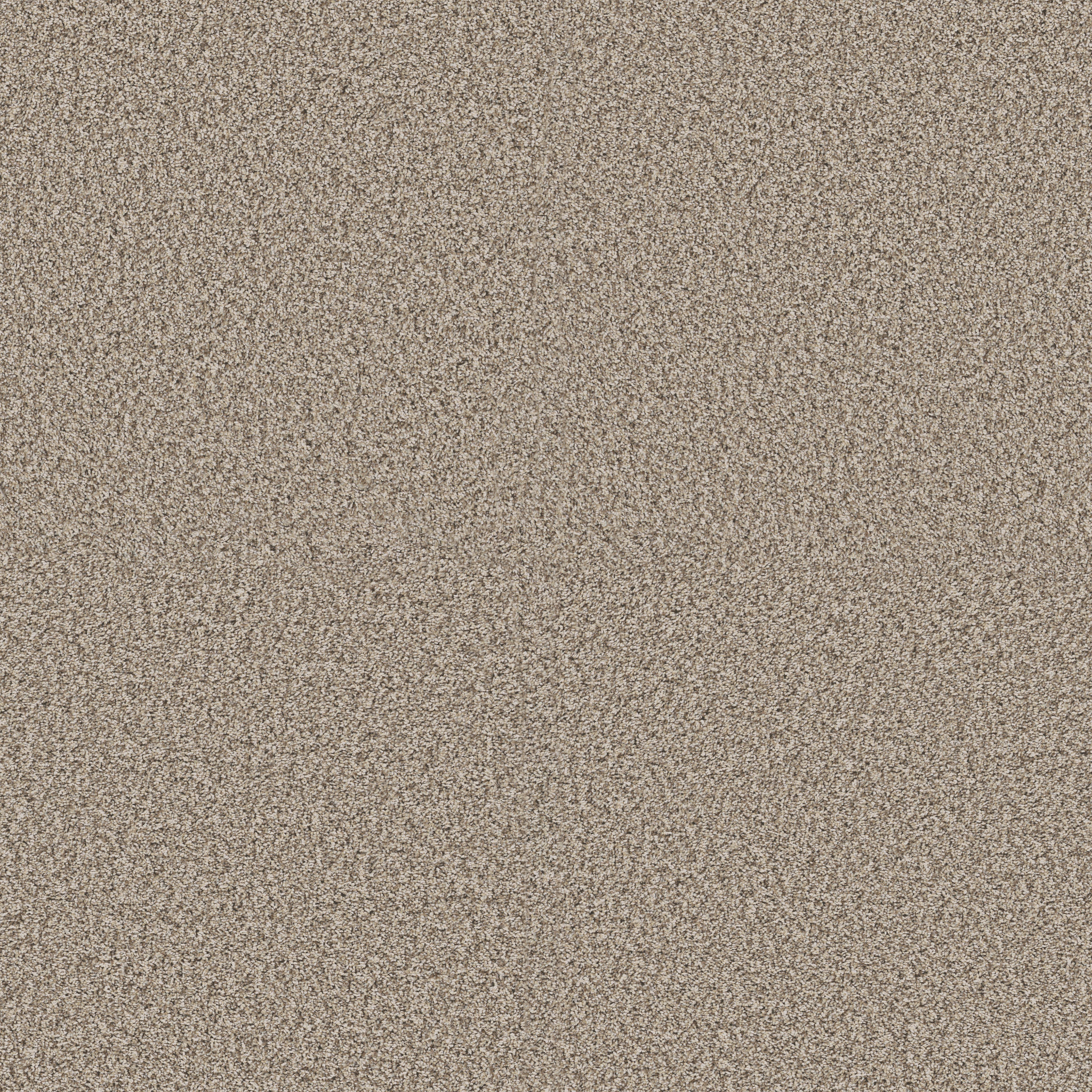 Blue Cove II-Sandstone-HFN33_00119