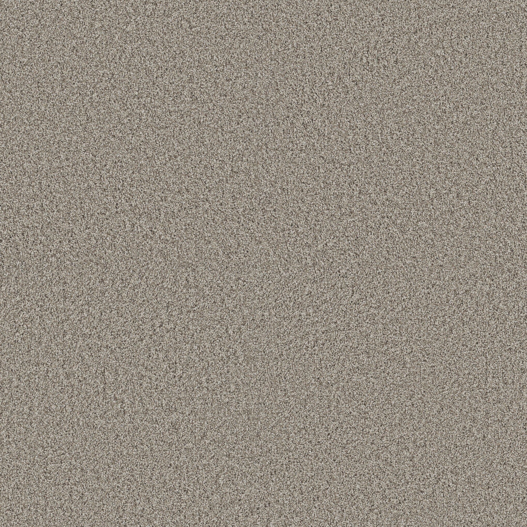 Blue Cove II-Landscape-HFN33_00125