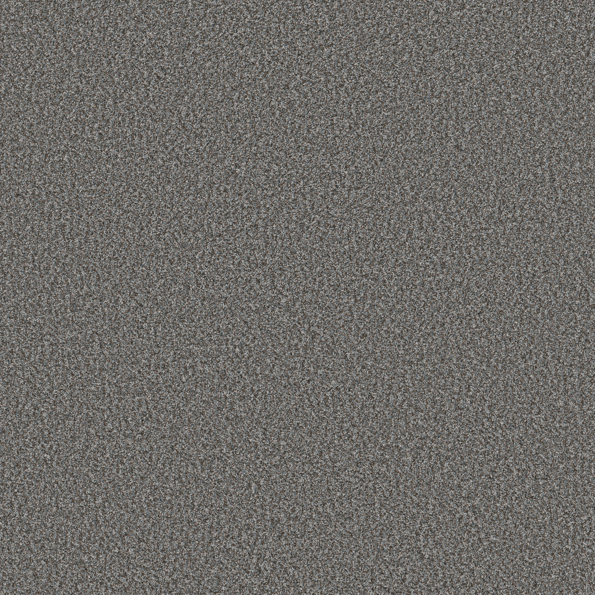 Blue Cove II-Paris Sky-HFN33_00413