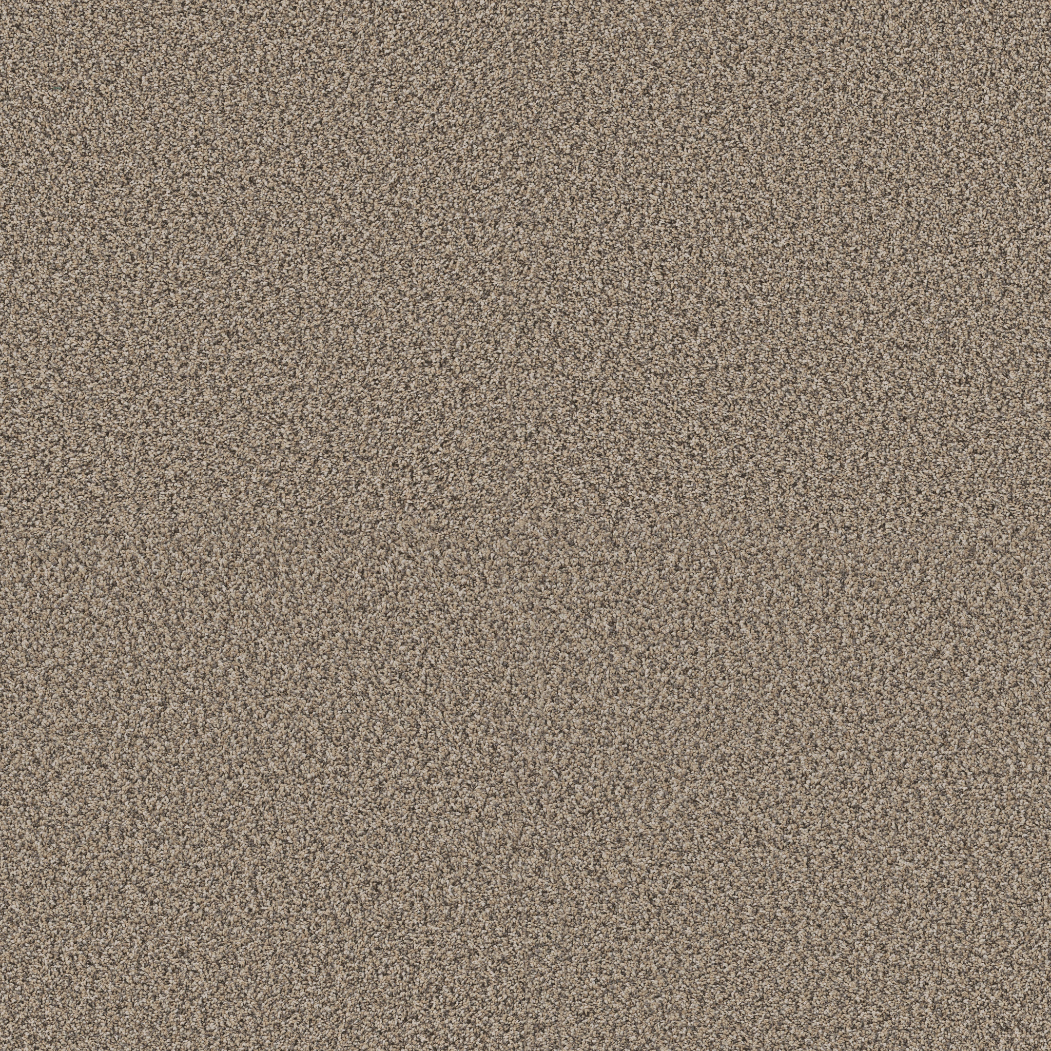 Blue Cove II-Khaki-HFN33_00700