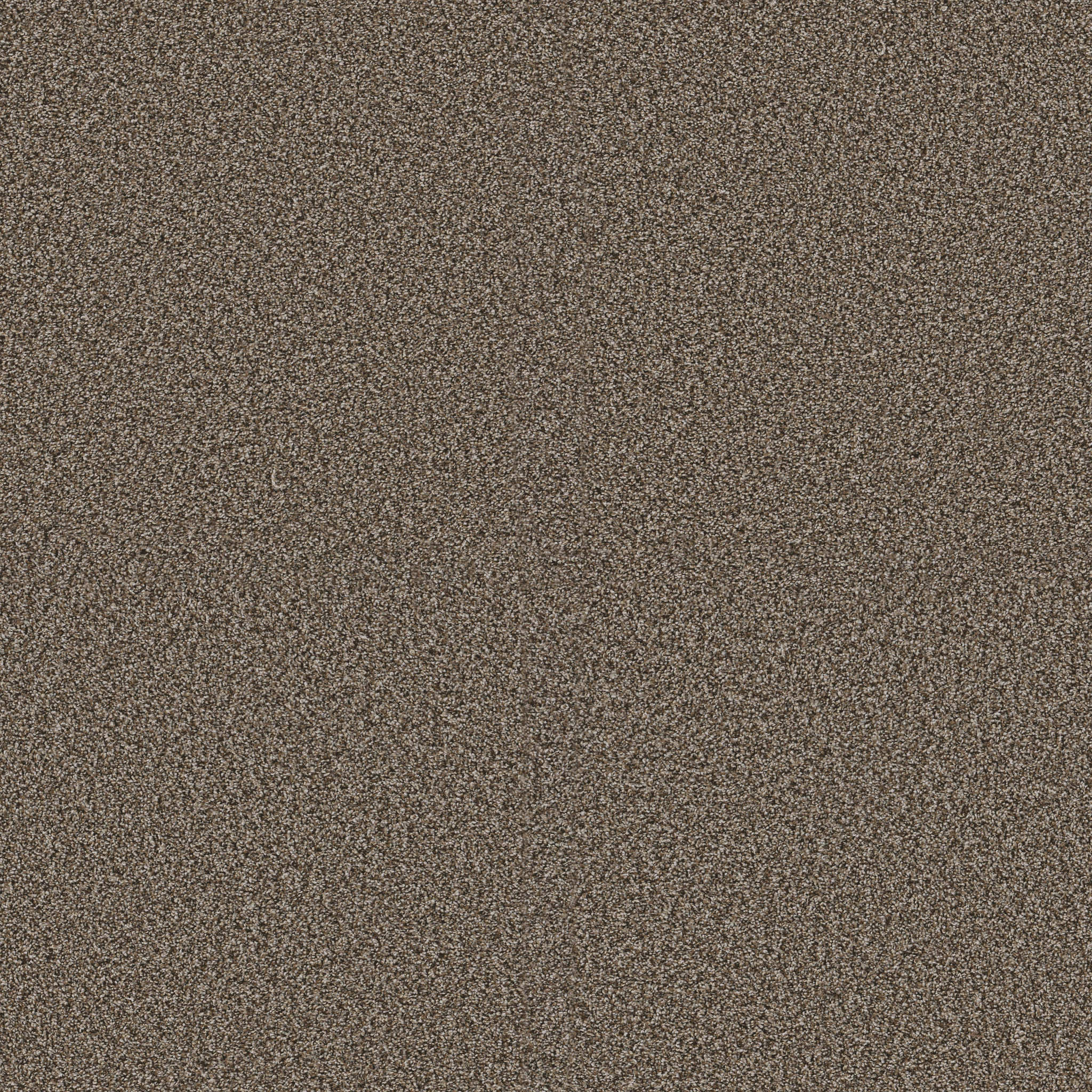 Blue Cove II-Fence Post-HFN33_00715