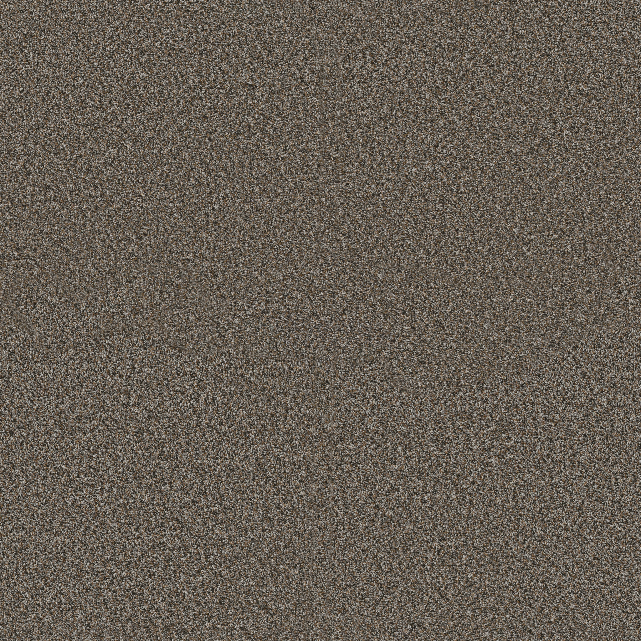 Blue Cove II-Mineral Bed-HFN33_00716