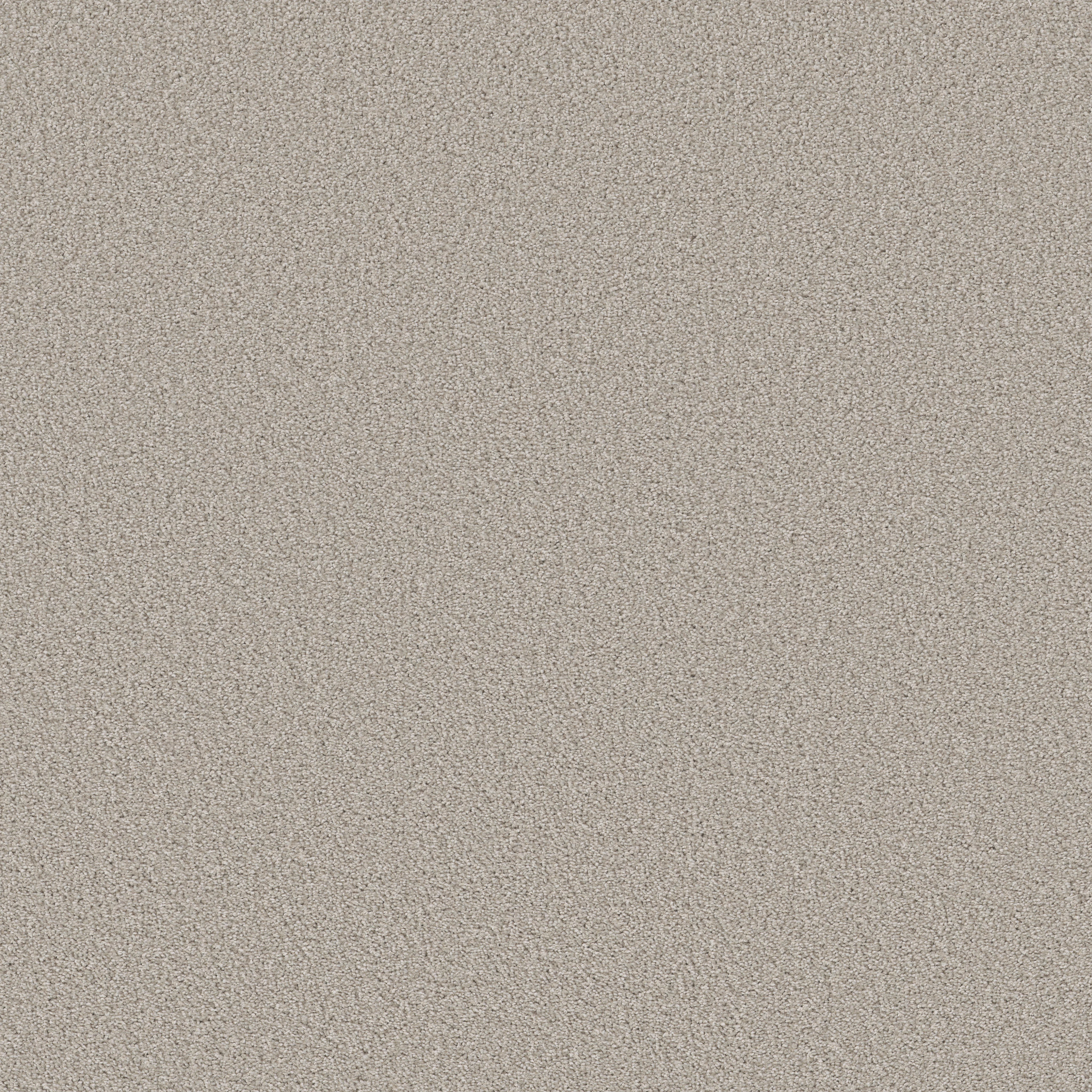 Crescent City-New Earth-HFN37_00108