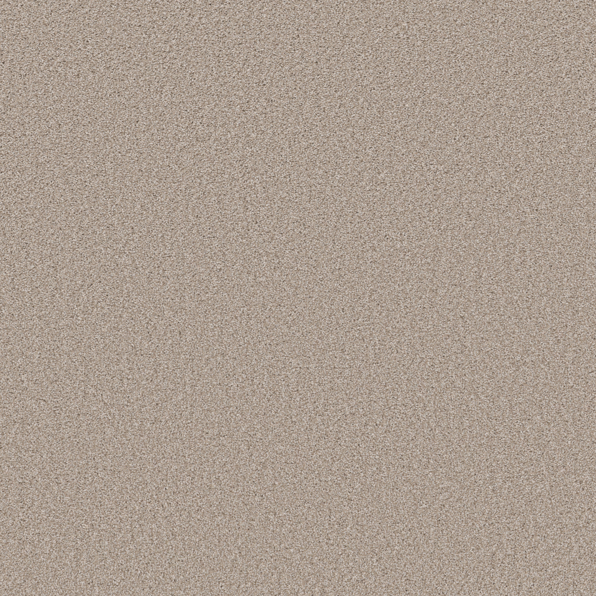 Crescent City-Dusty Trail-HFN37_00109