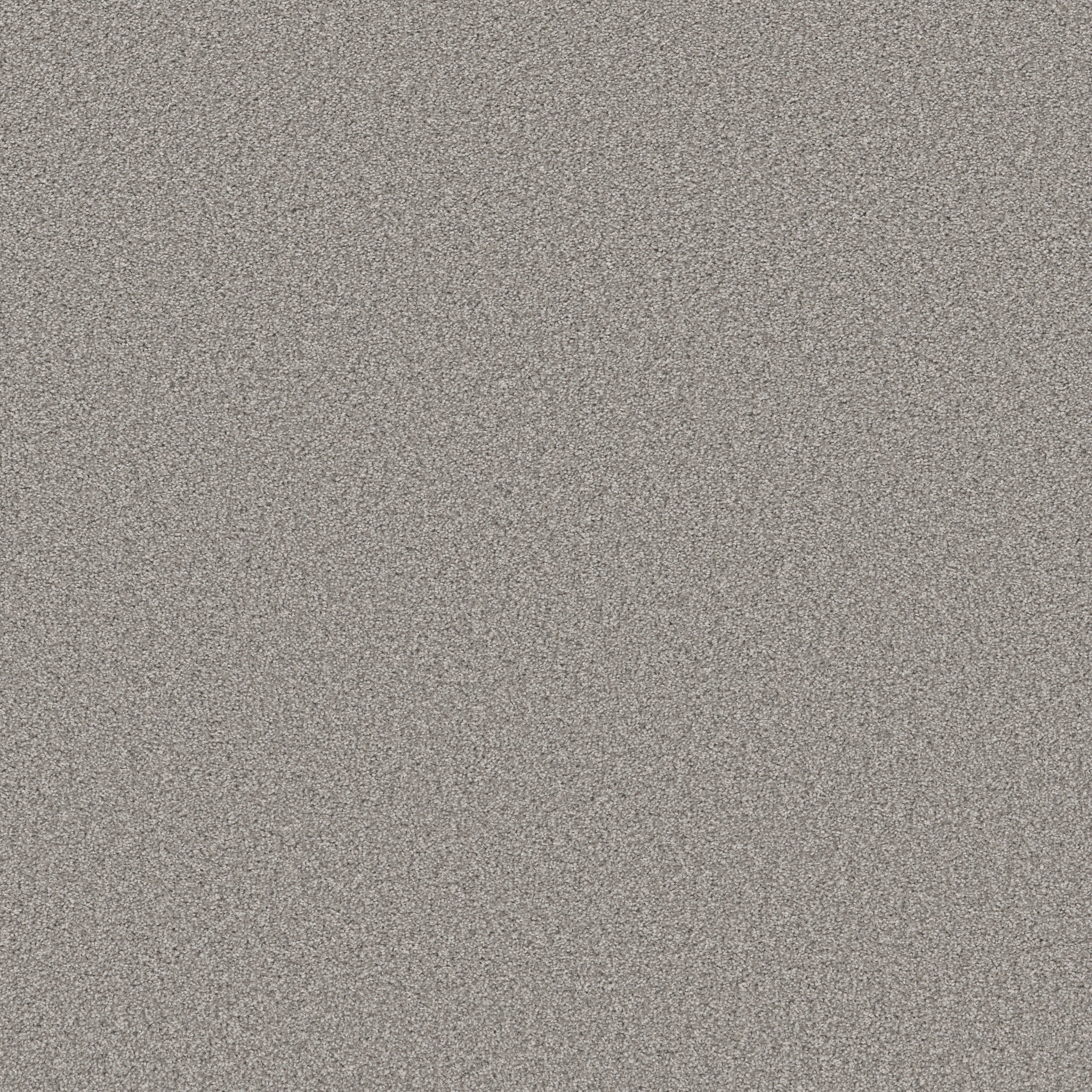 Crescent City-Grey Cathedral-HFN37_00504