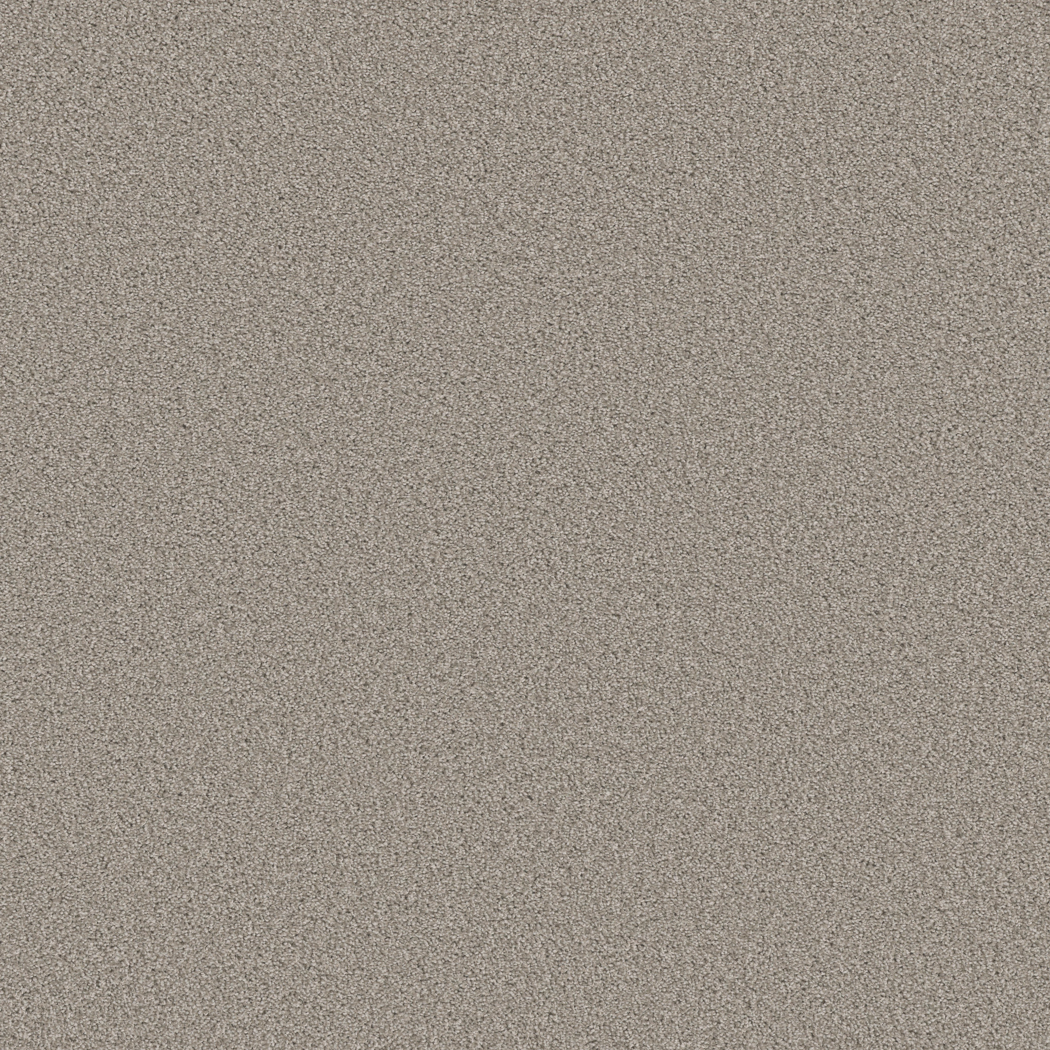 Crescent City-Castle Rock-HFN37_00505