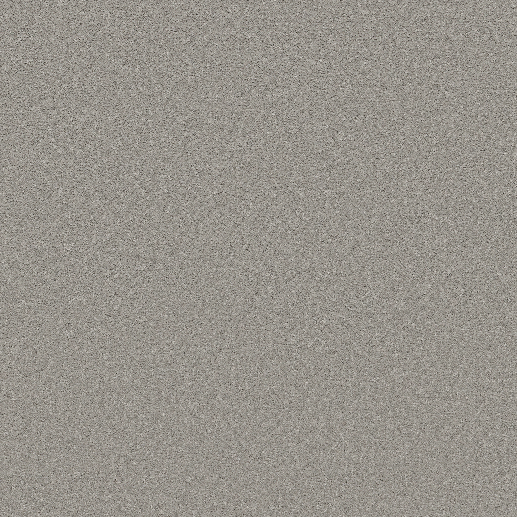 Loganberry-Sheer Silver-HFN39_00500