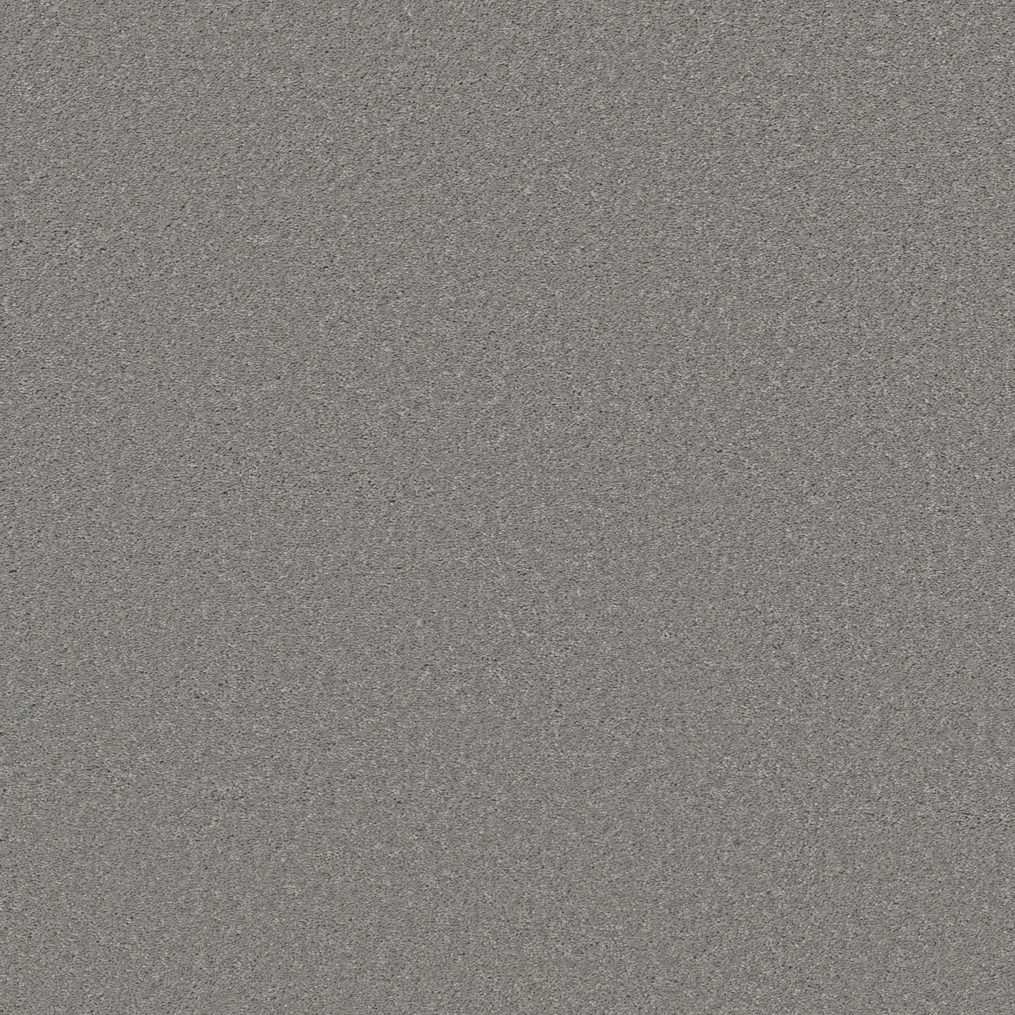 Loganberry-Nickel-HFN39_00502