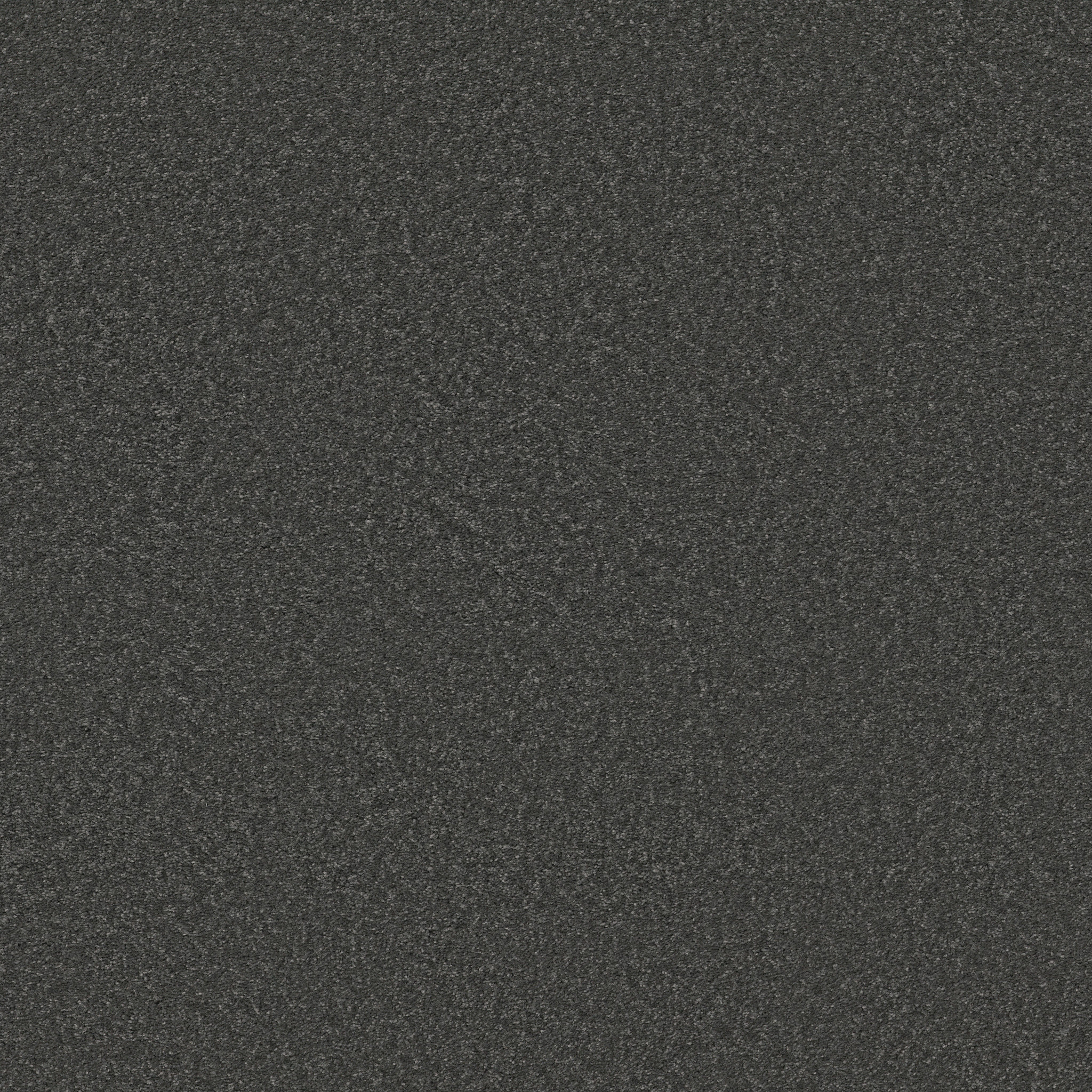 Loganberry-Charcoal-HFN39_00504