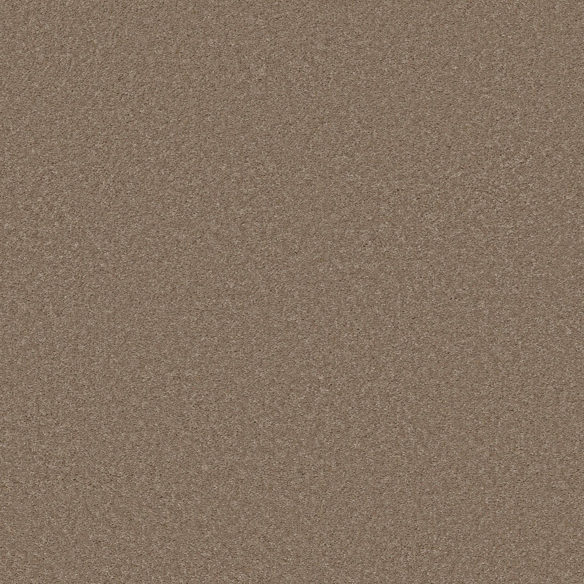 Loganberry-Pebble Creek-HFN39_00701