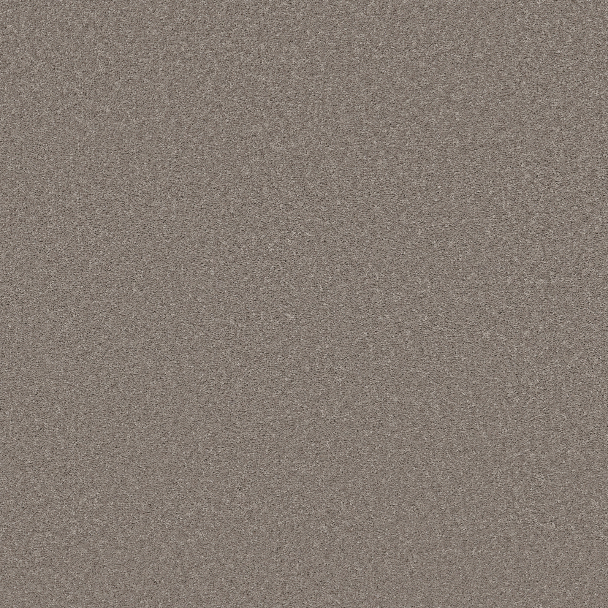 Loganberry-Mocha Frost-HFN39_00702