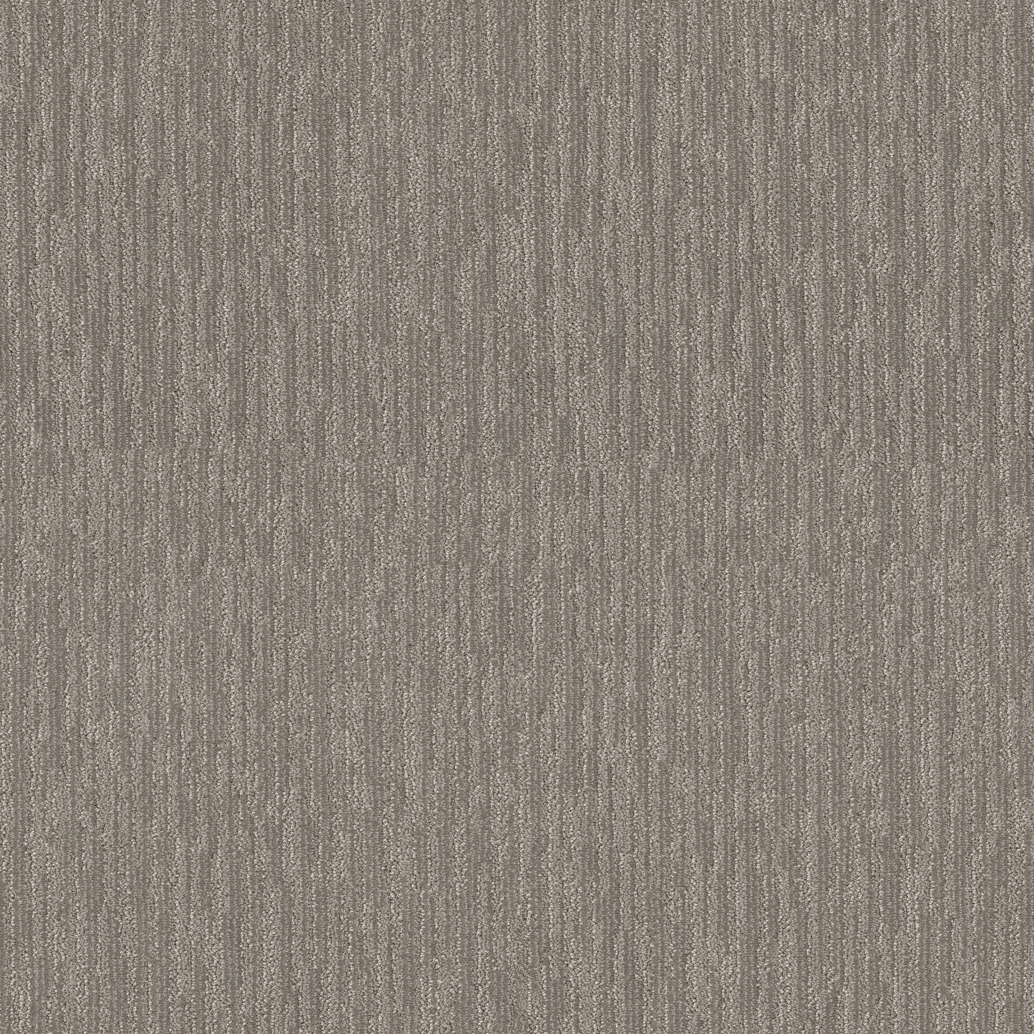 River Birch
