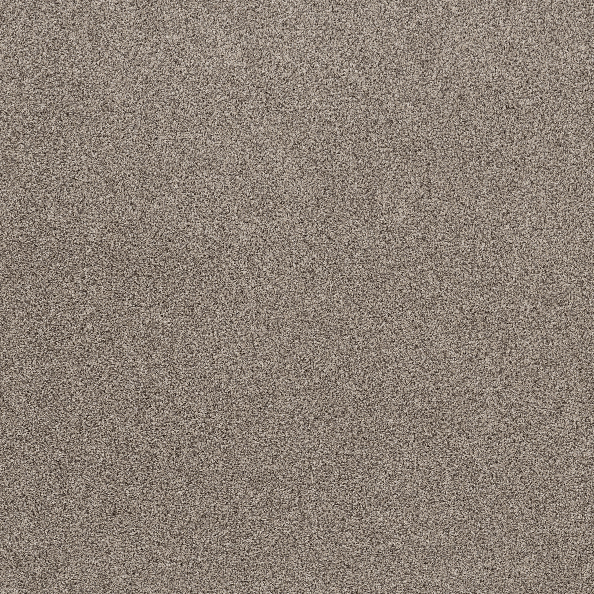 Seaside Mist HFN52 00510 | Shaw Builder Flooring