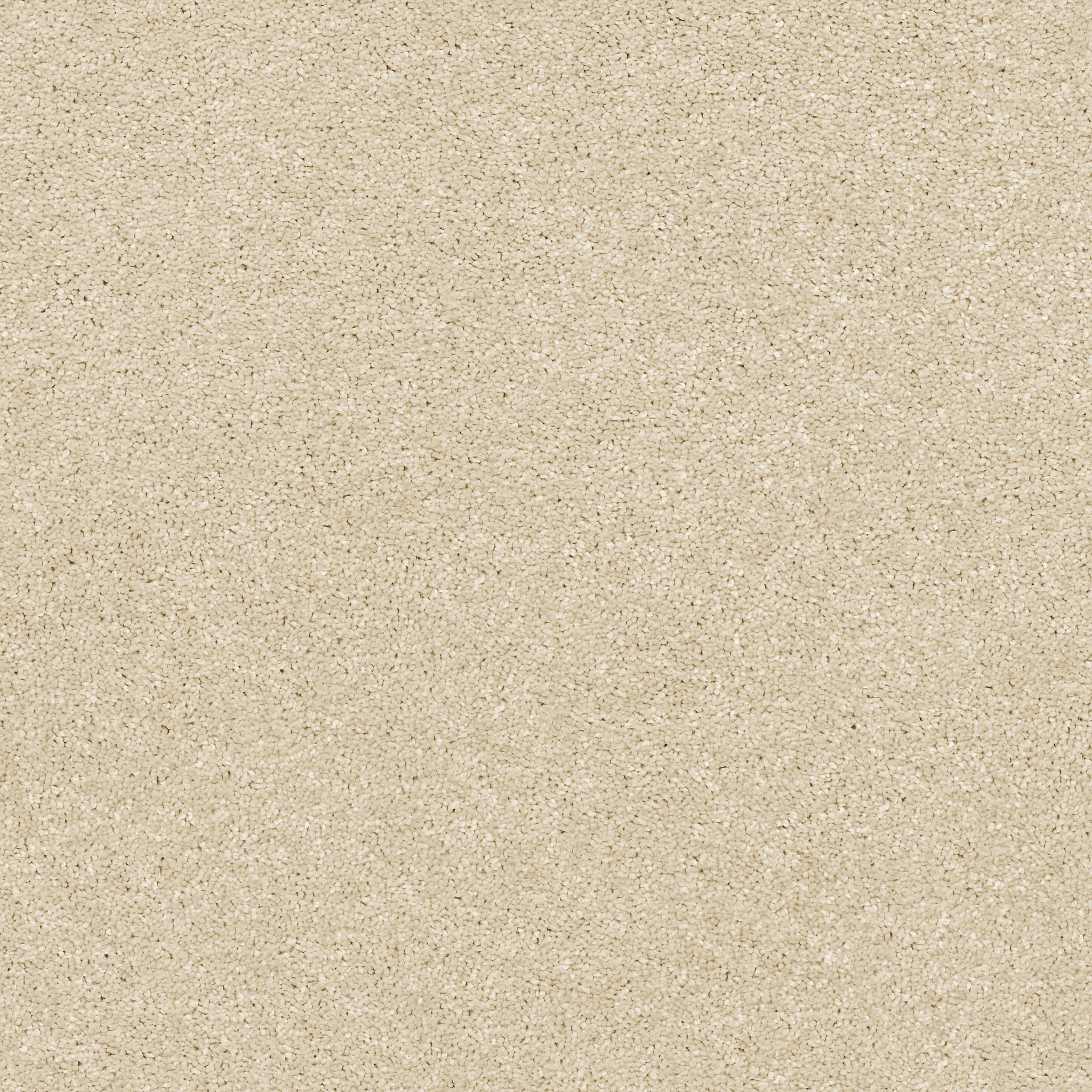 Eggshell