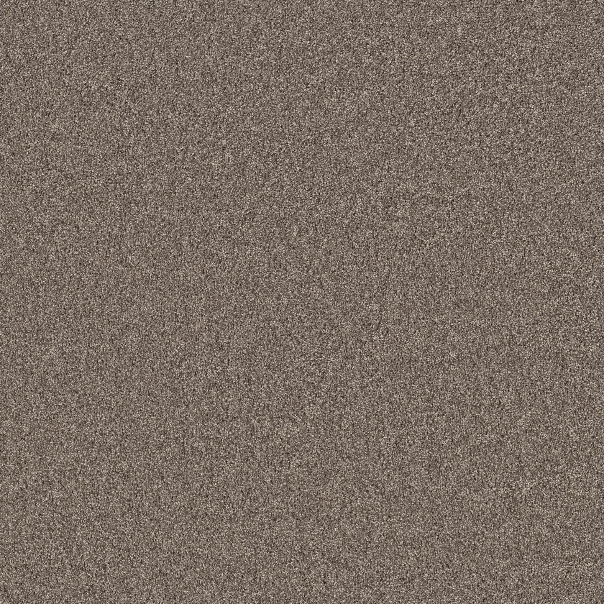 Windsor Court-Hammerhead-HFN75_00521