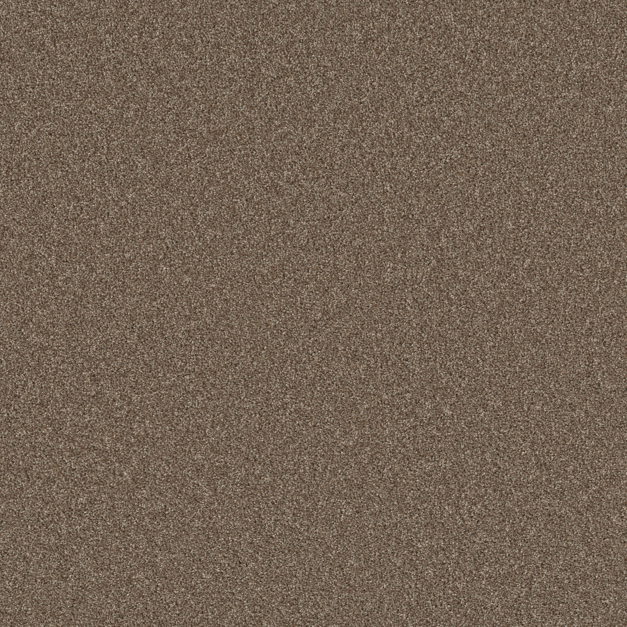 Windsor Court-Roasted Coffee-HFN75_00721